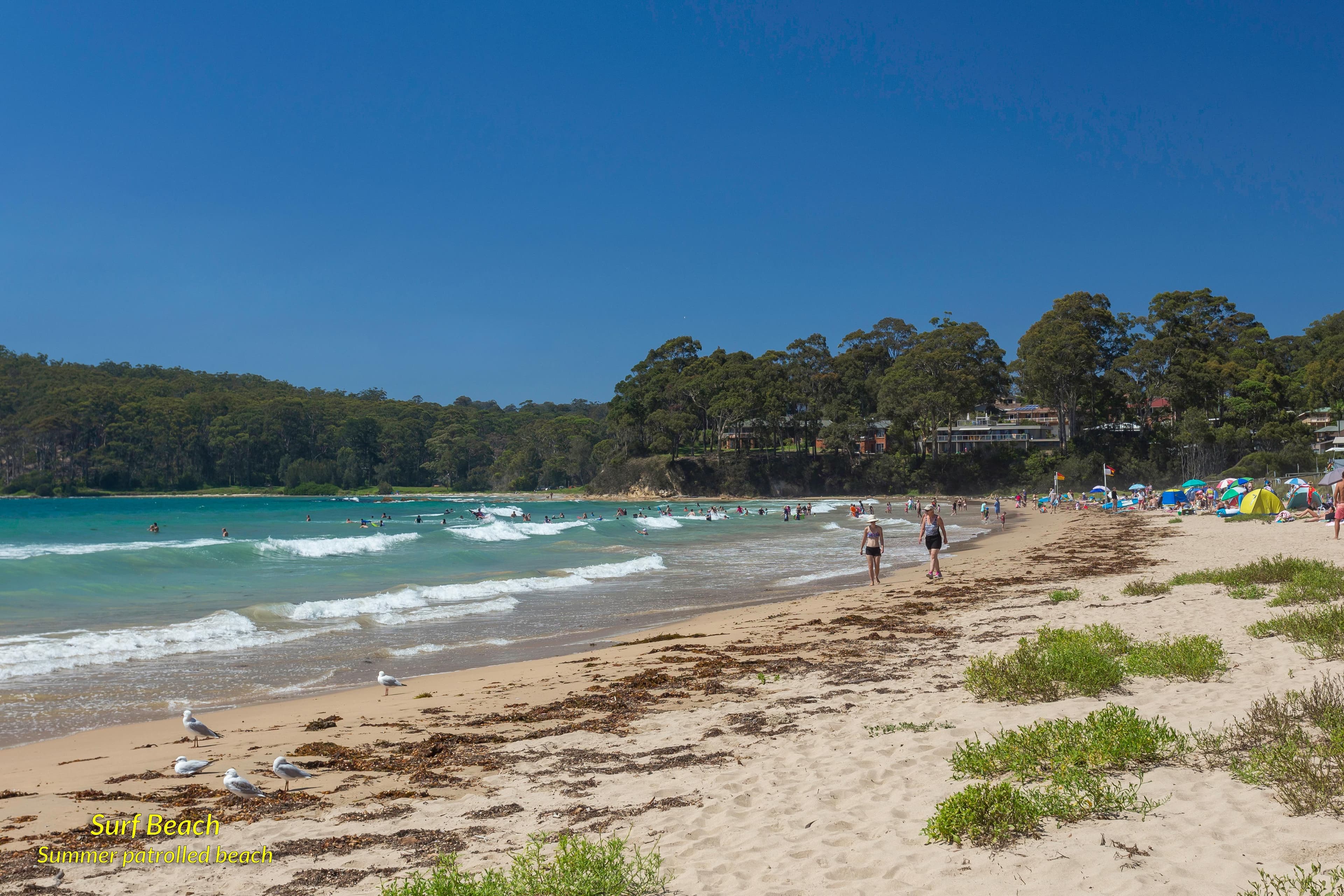 20 Cook Avenue, Surf Beach NSW 2536, Surf Beach - Thumbnail 4