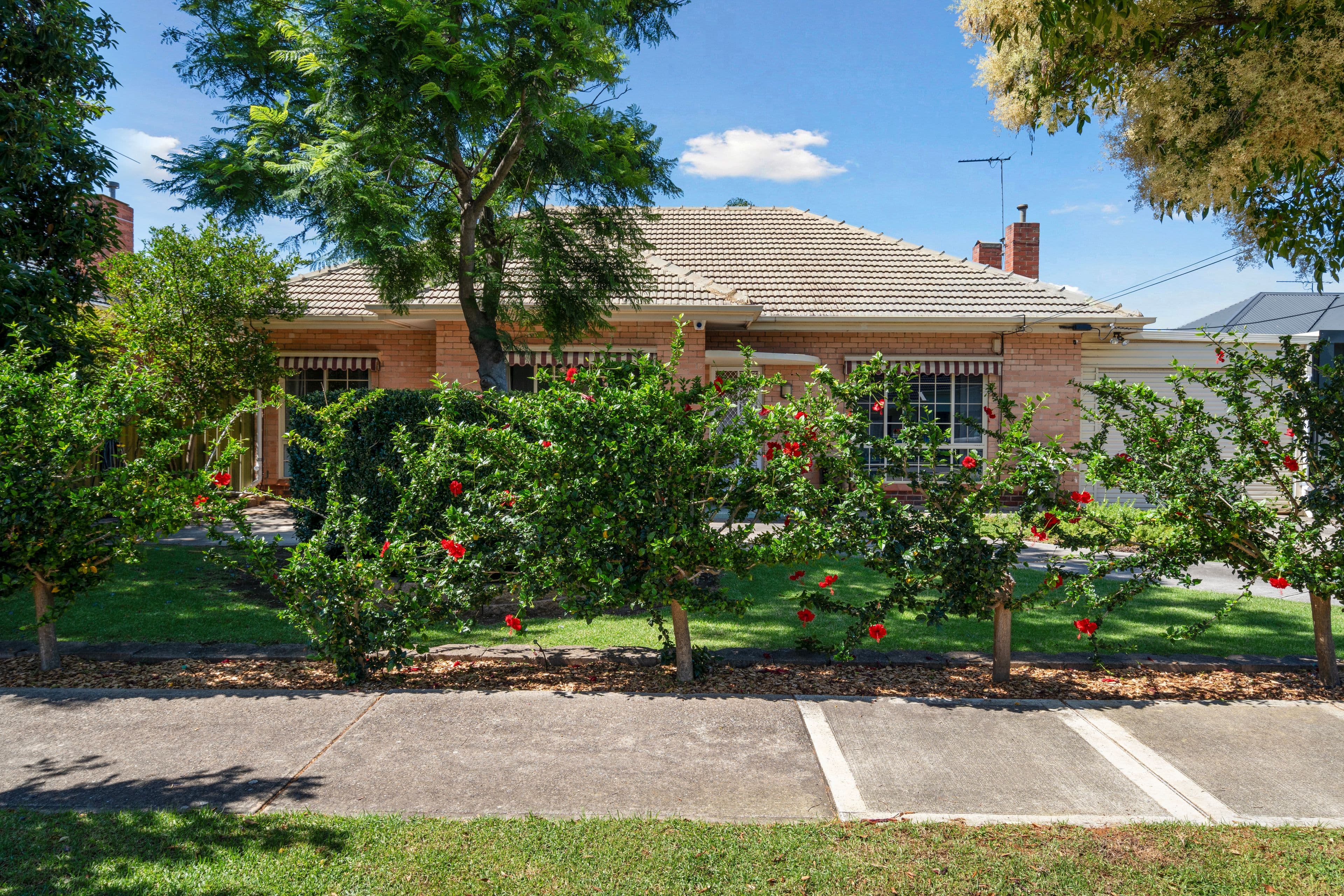55 Baker Street, Glengowrie SA 5044, Glengowrie - Thumbnail 3