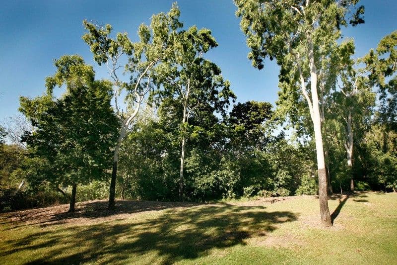 159 Riverside Boulevard, DOUGLAS QLD 4814, Douglas - Thumbnail 7