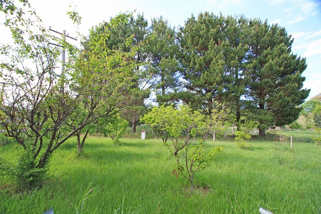 1692 Hoskinstown Road, Hoskinstown - Thumbnail 8