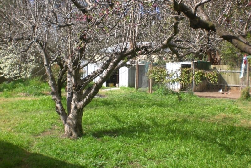 54 Hume Street, HOWLONG NSW 2643, Howlong - Thumbnail 2
