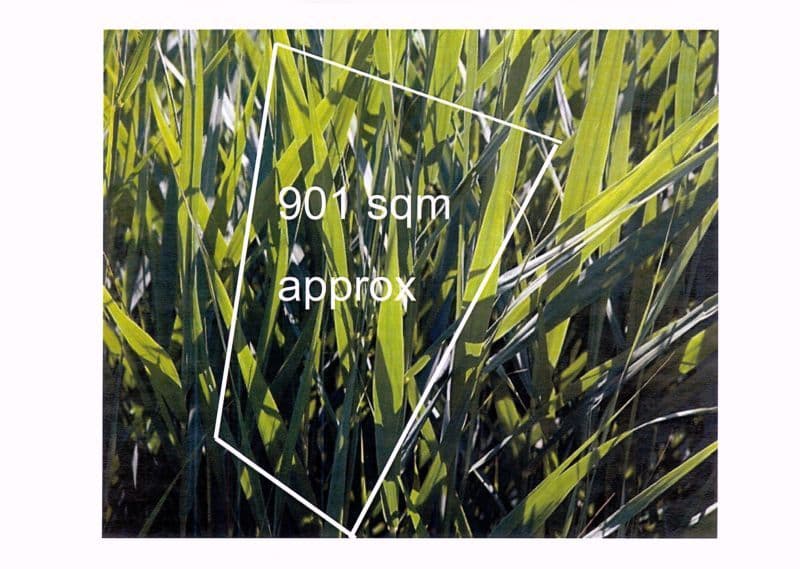 1  Booker Street, CHELTENHAM VIC 3192, Cheltenham - Thumbnail 6