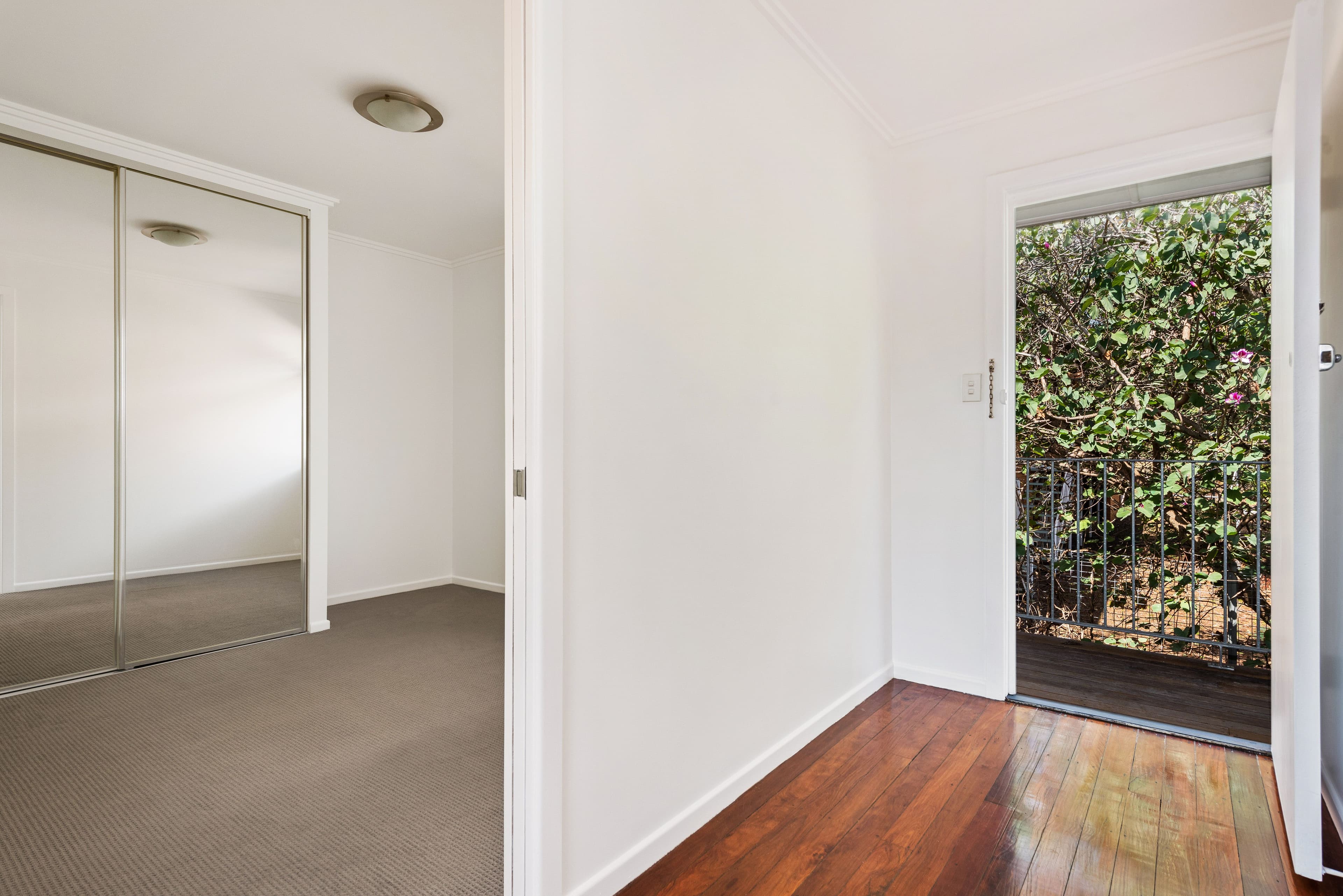 15 Cyril Street, Camp Hill QLD 4152, Camp Hill - Thumbnail 6