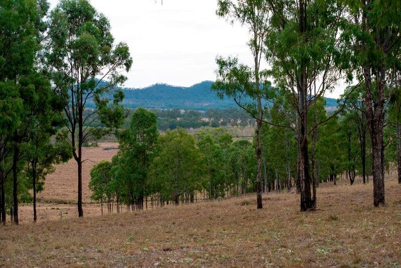 ROSEVALE QLD 4340, Rosevale - Thumbnail 8