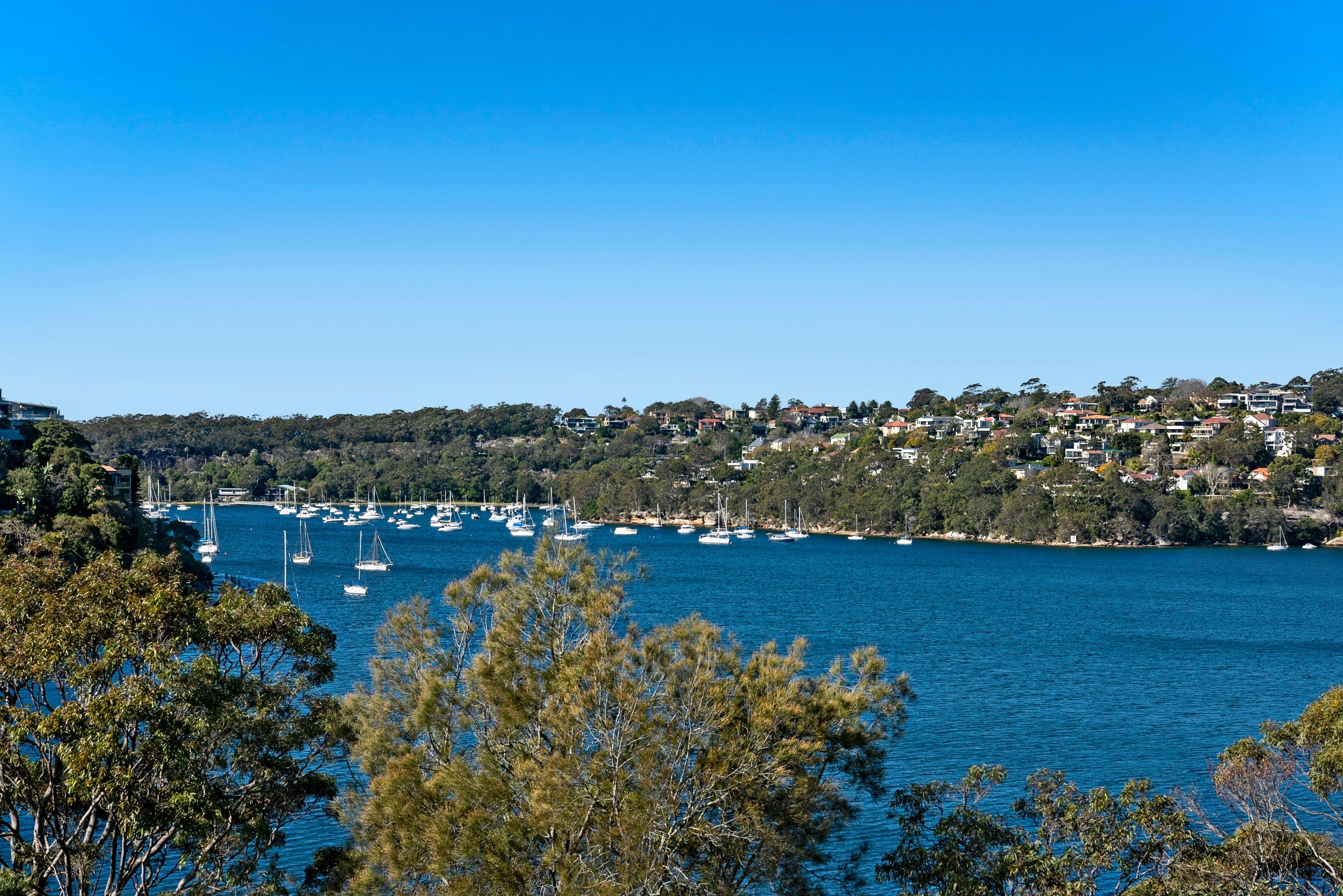 11 Cheyne Walk, Castlecrag - Thumbnail 7