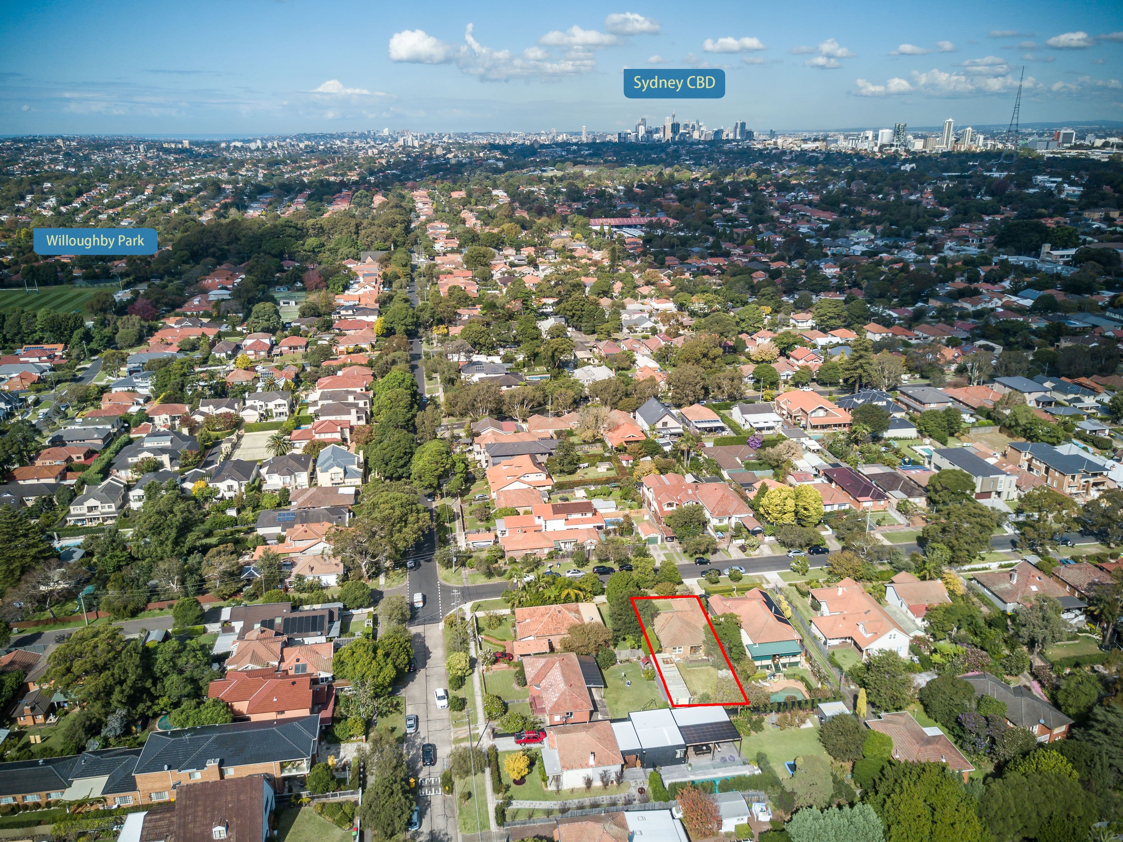 1 Chaleyer Street, Willoughby NSW 2068, Willoughby - Thumbnail 7