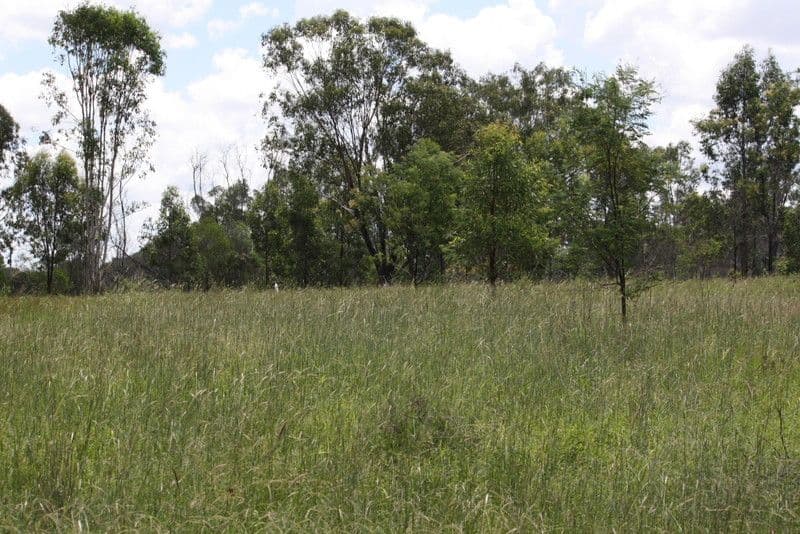 Lot 2, 671and672 Racecourse Road, EIDSVOLD QLD 4627, Eidsvold - Thumbnail 2