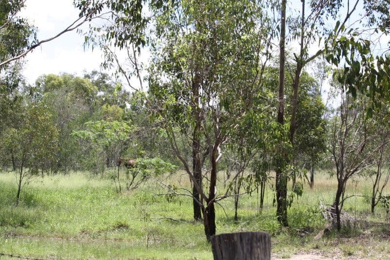 Lot 2, 671and672 Racecourse Road, EIDSVOLD QLD 4627, Eidsvold - Thumbnail 4