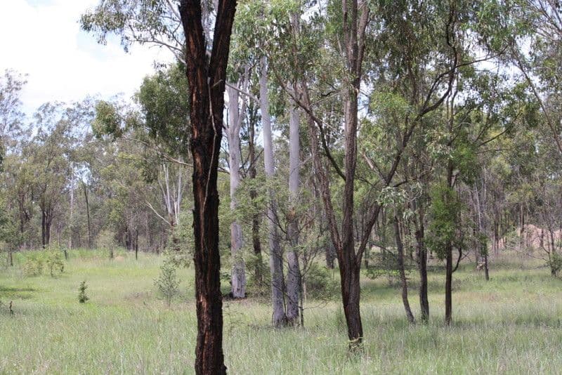 Lot 2, 671and672 Racecourse Road, EIDSVOLD QLD 4627, Eidsvold - Thumbnail 5