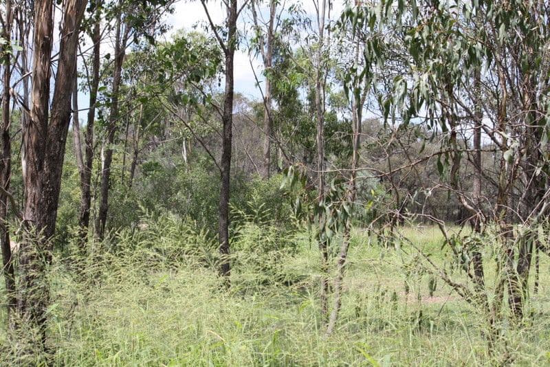 Lot 2, 671and672 Racecourse Road, EIDSVOLD QLD 4627, Eidsvold - Thumbnail 6
