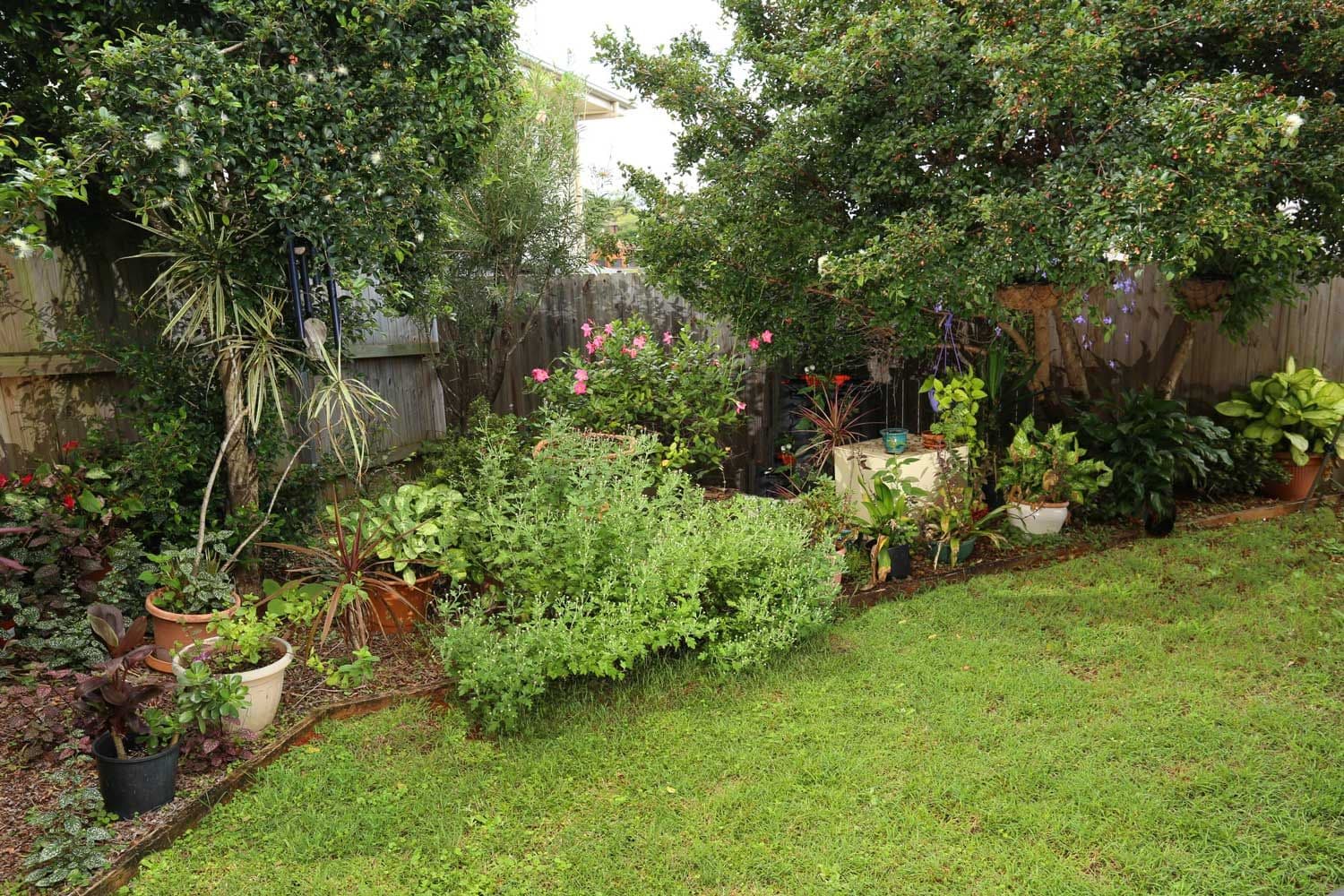 12 Pindari Crescent, GOONELLABAH NSW 2480, Goonellabah - Thumbnail 5