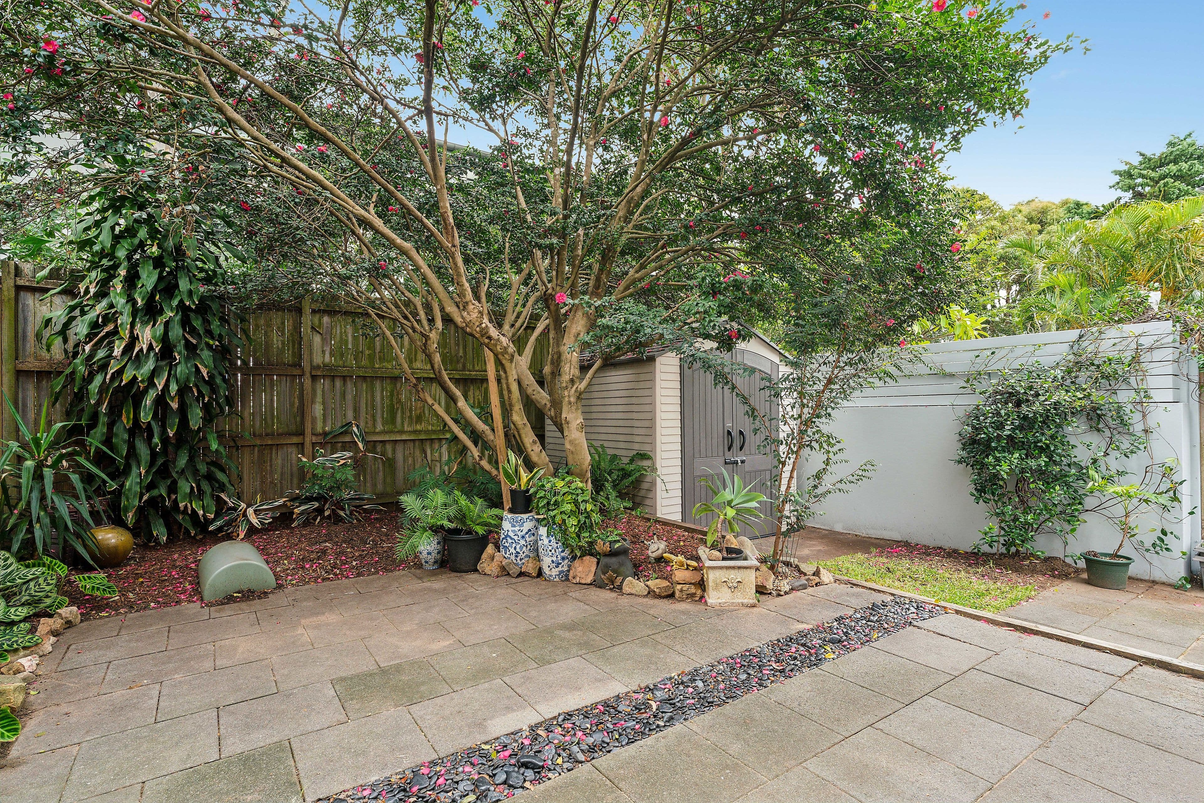 99 Chaleyer Street, Rose Bay NSW 2029, Rose Bay - Thumbnail 3