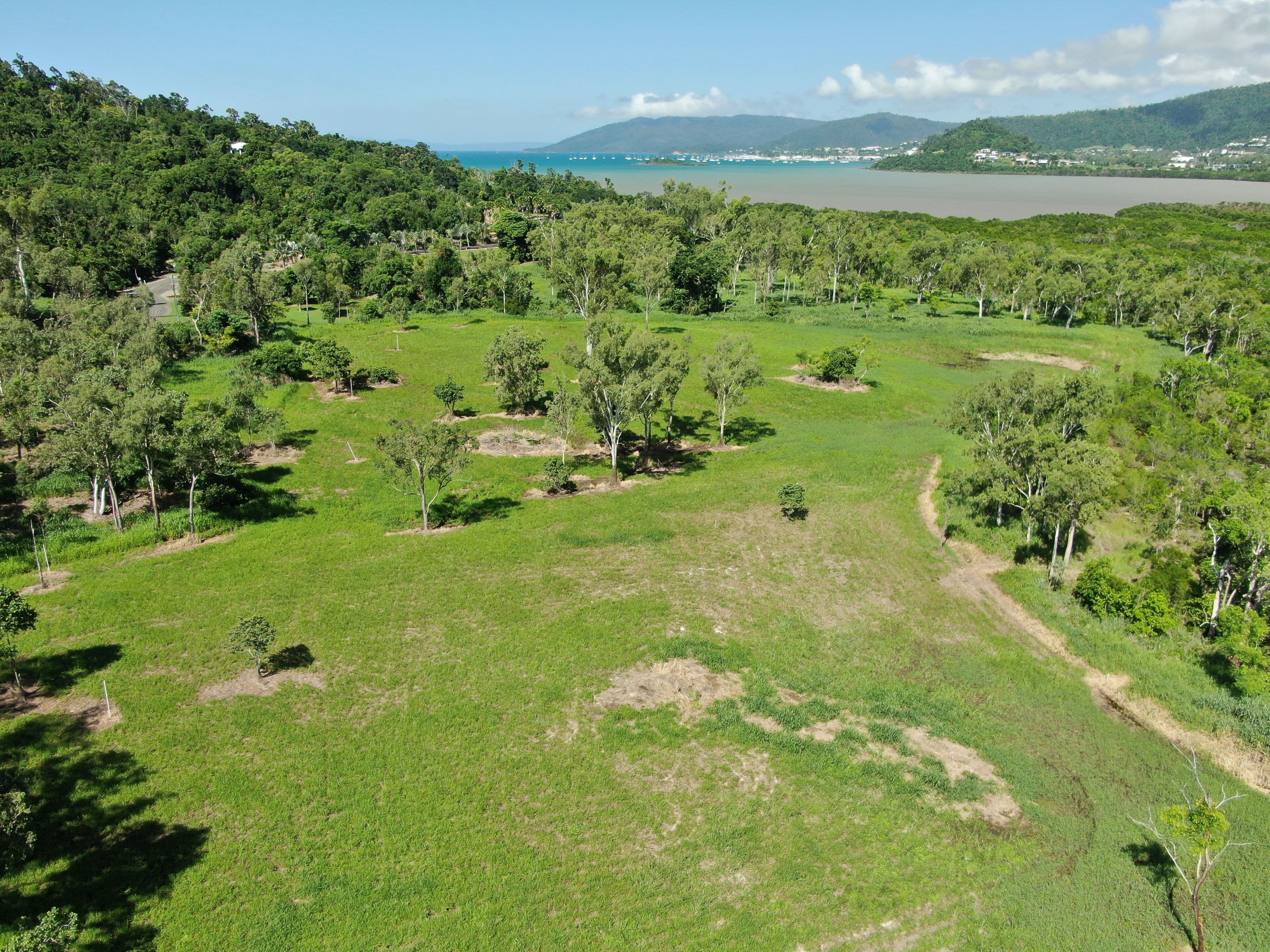 Lot 51 Acacia Grove, Cannonvale QLD 4802, Cannonvale - Thumbnail 7