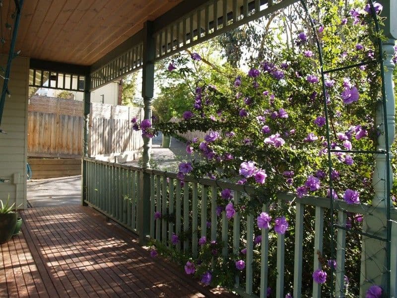 30 Felix Grove, MOOROOLBARK VIC 3138, Mooroolbark - Thumbnail 7