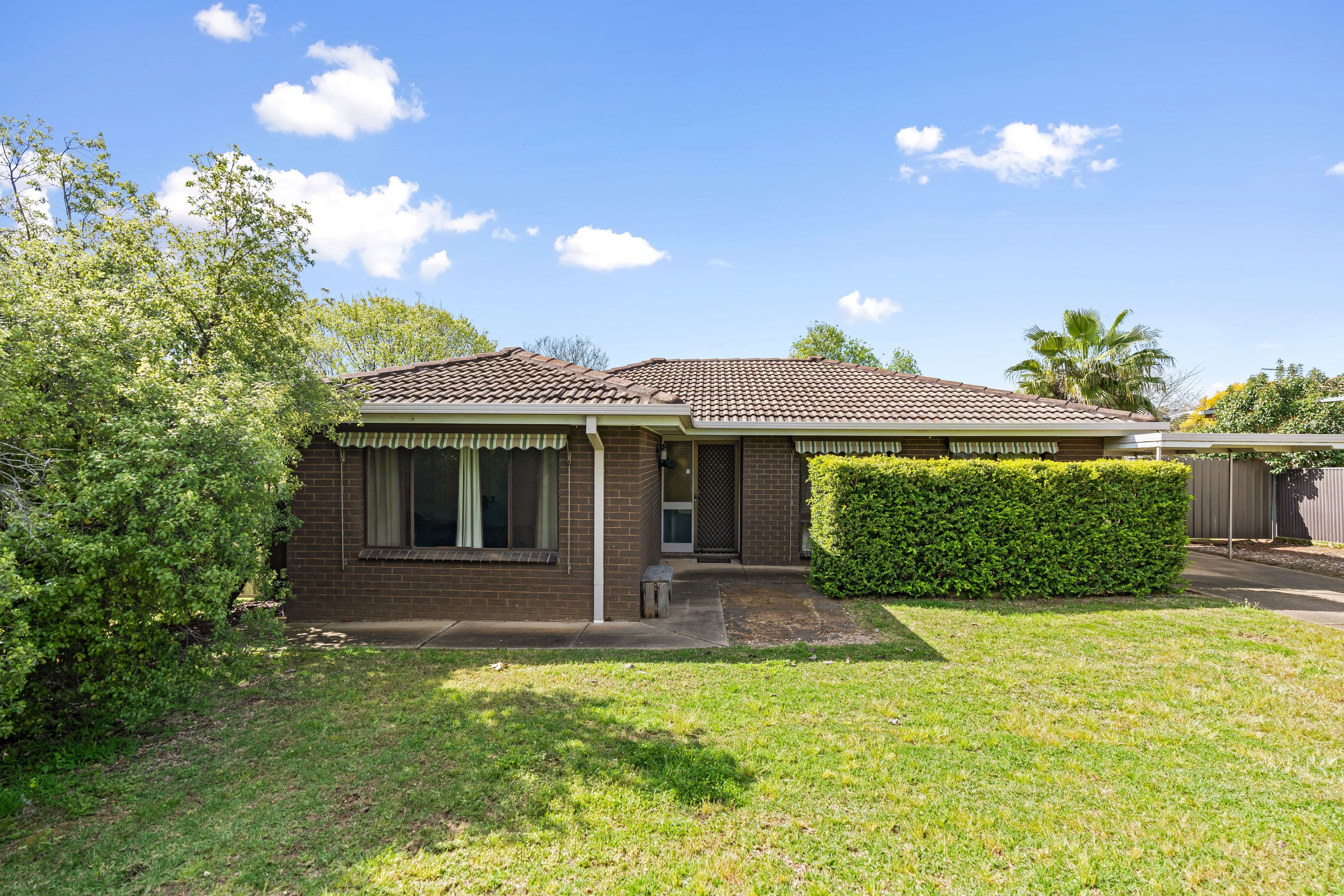 6 Cox Avenue, FOREST HILL NSW 2651, Forest Hill - Image 1