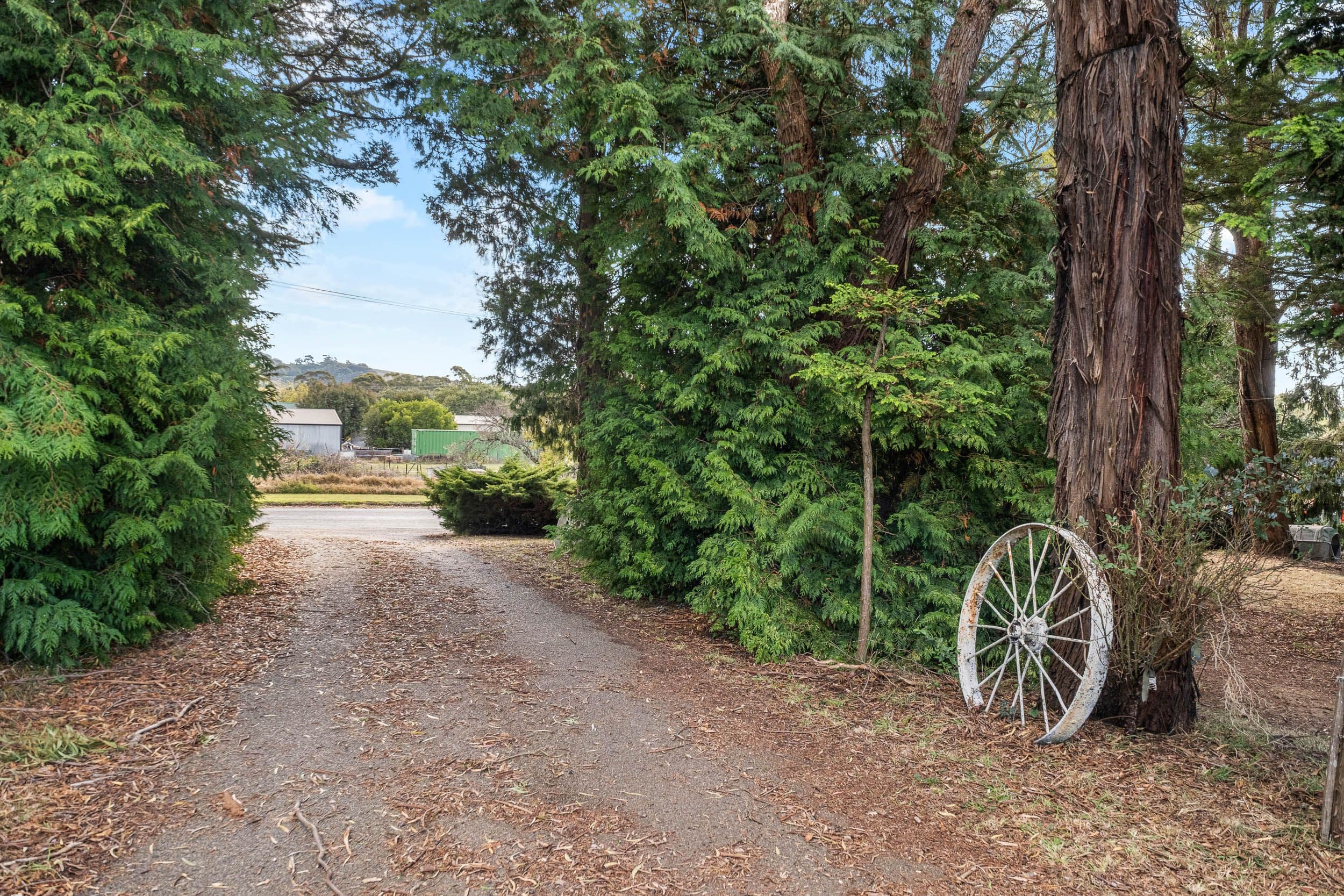 14 Roslyn Street, Crookwell NSW 2583, Crookwell - Thumbnail 3