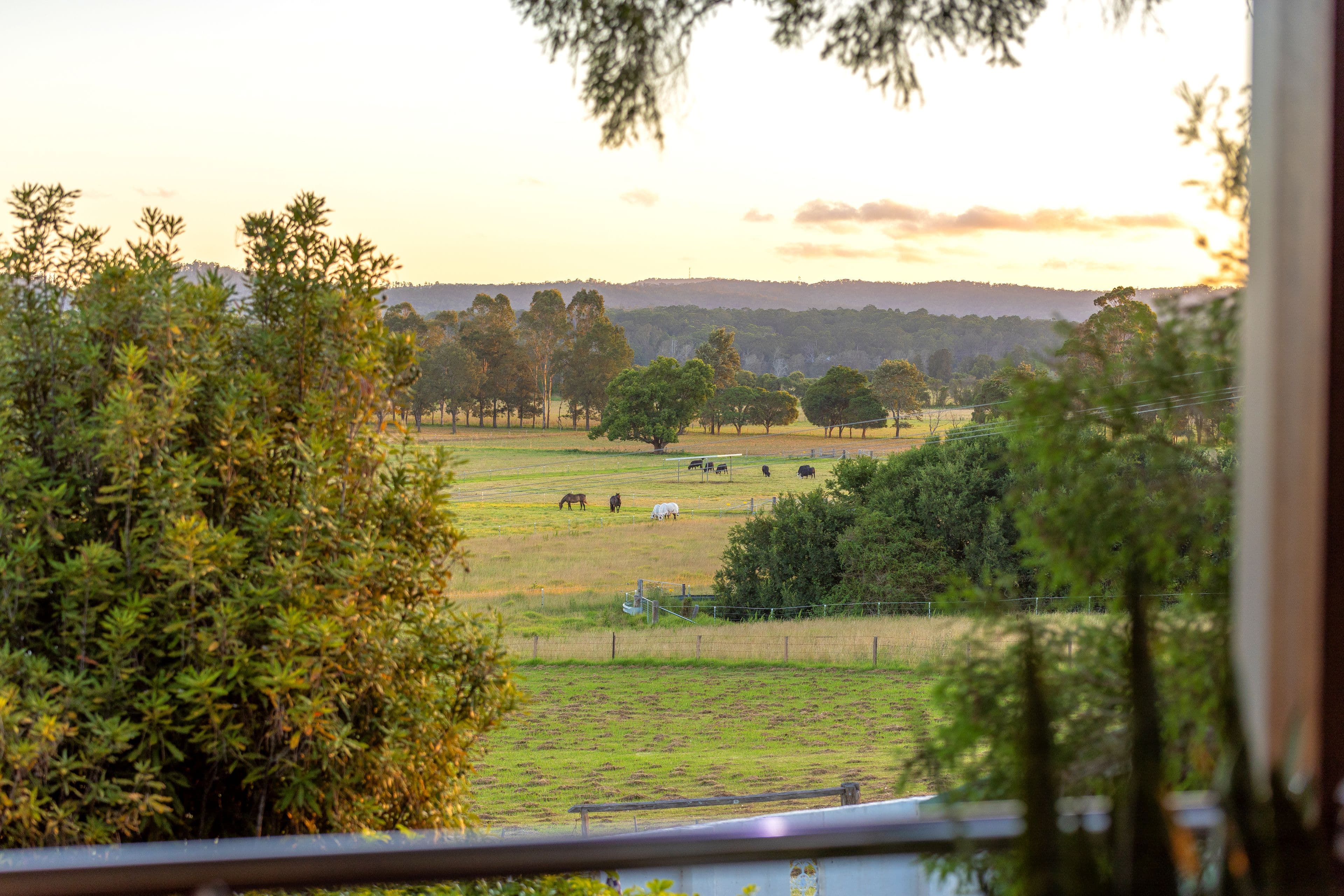 330 Victoria Street, Taree NSW 2430, Taree - Thumbnail 2