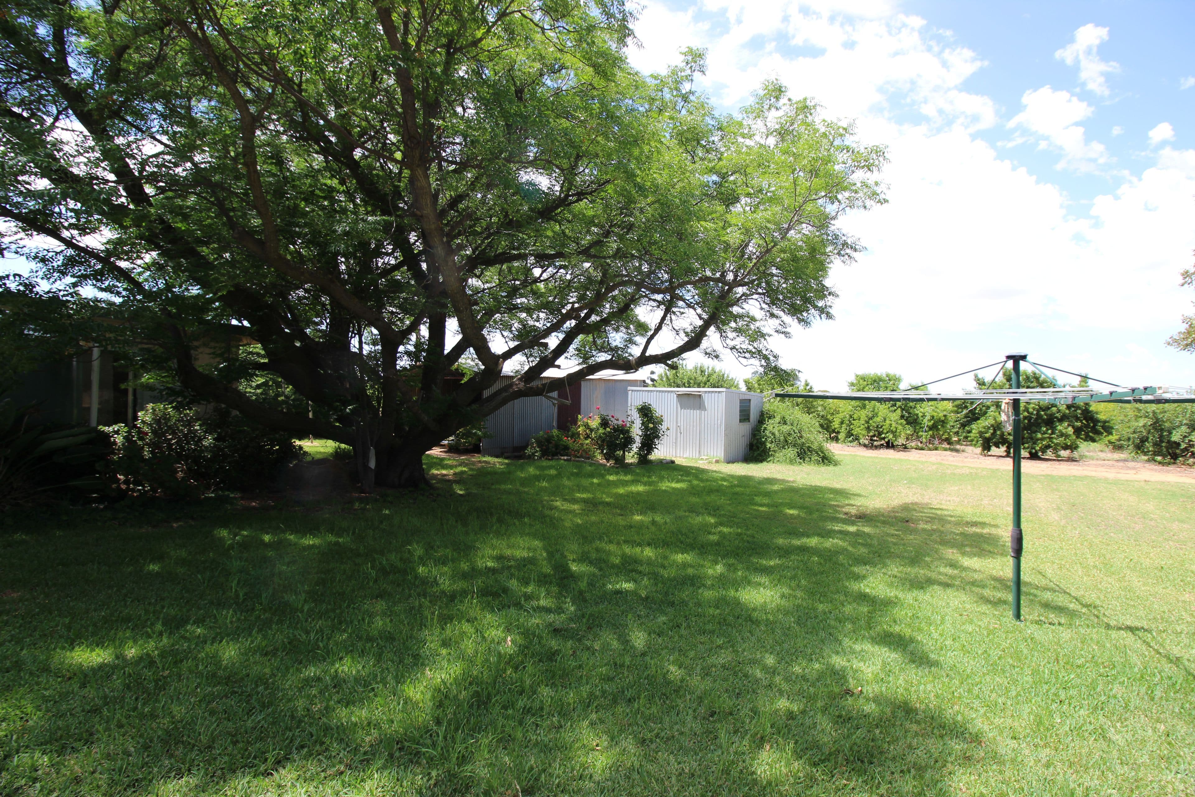 127 Ballantine Road, Waikerie SA 5330, Waikerie - Thumbnail 6