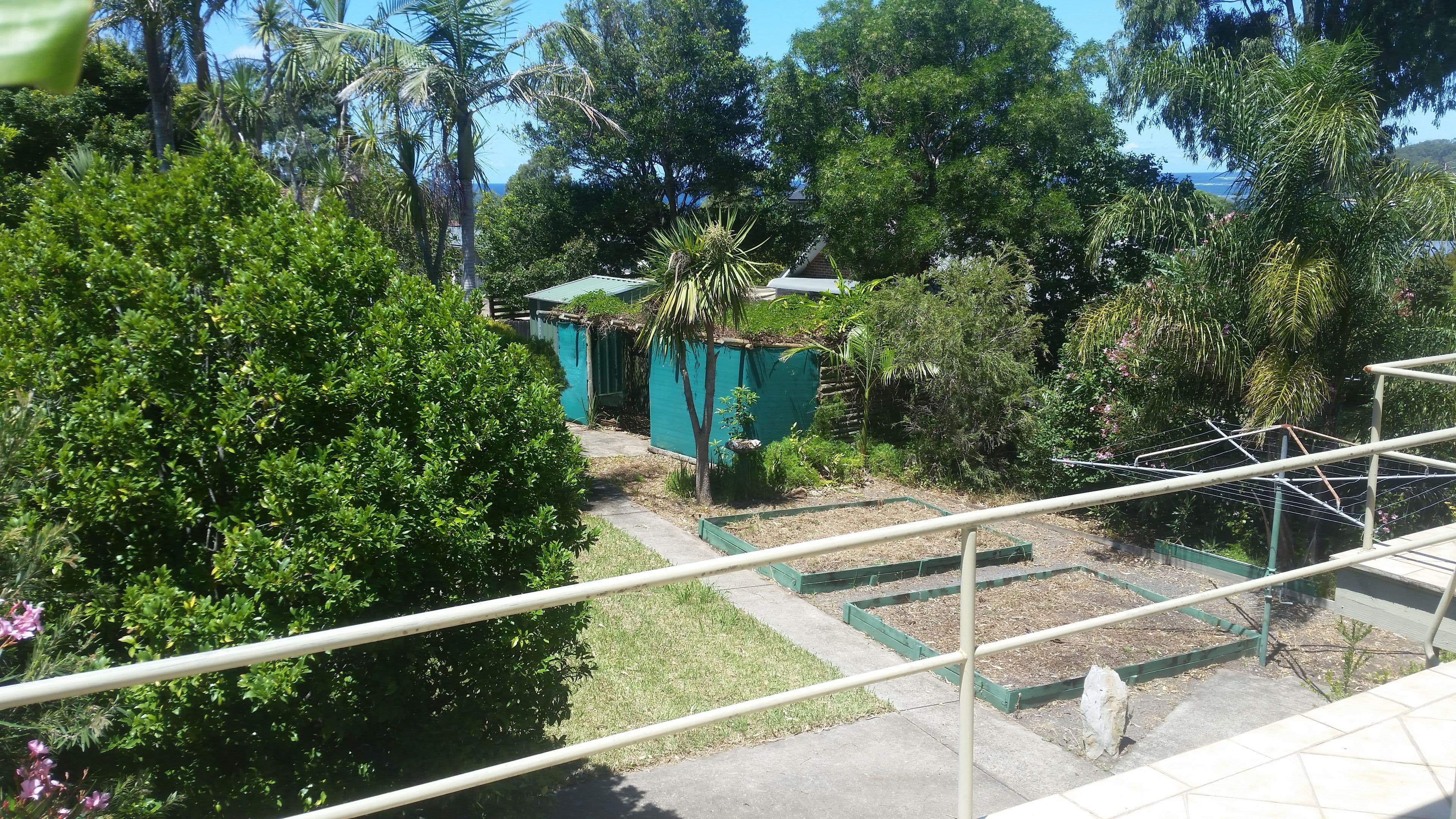 88 Carroll Avenue, Mollymook Beach - Thumbnail 5