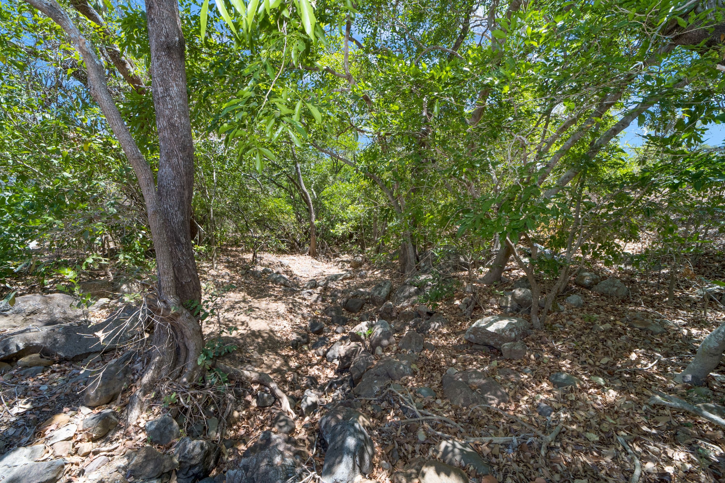 13 Mount Clifton Court, Alligator Creek QLD 4816, Alligator Creek - Thumbnail 4