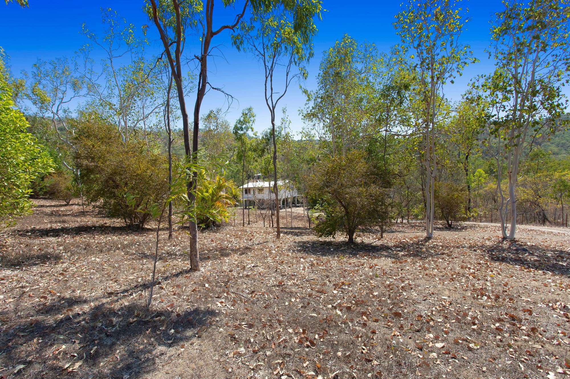 13 Mount Clifton Court, Alligator Creek QLD 4816, Alligator Creek - Thumbnail 6