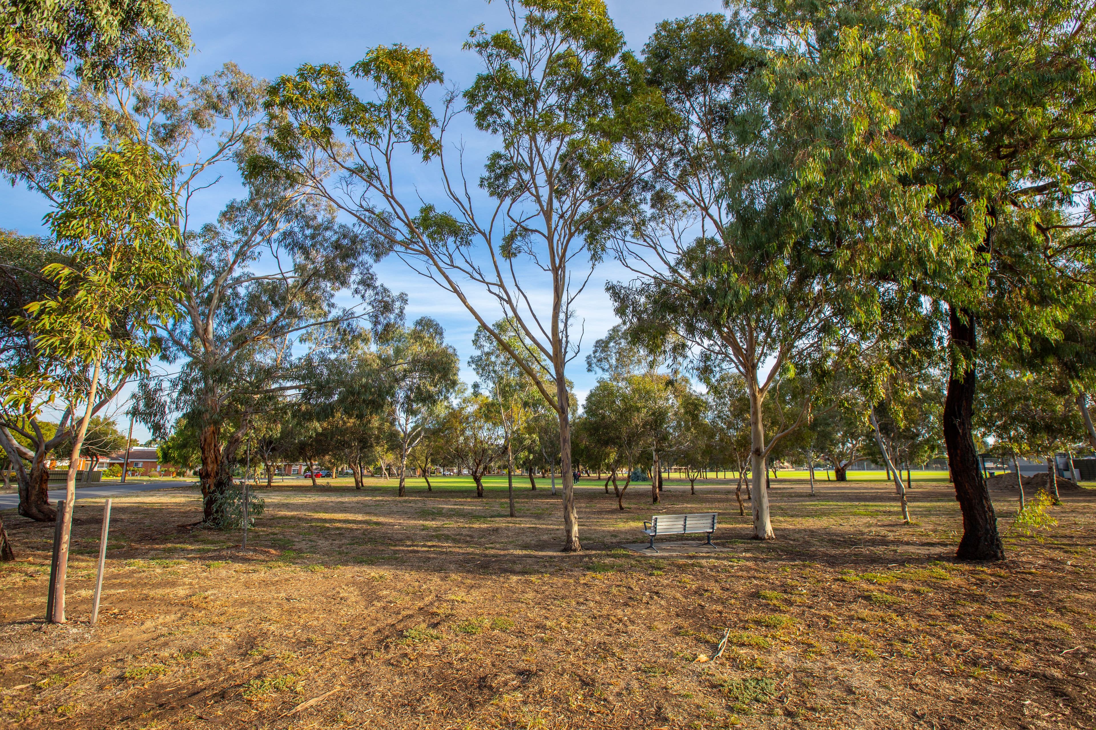 2 Whibley Street, Henley Beach SA 5022, Henley Beach - Thumbnail 6