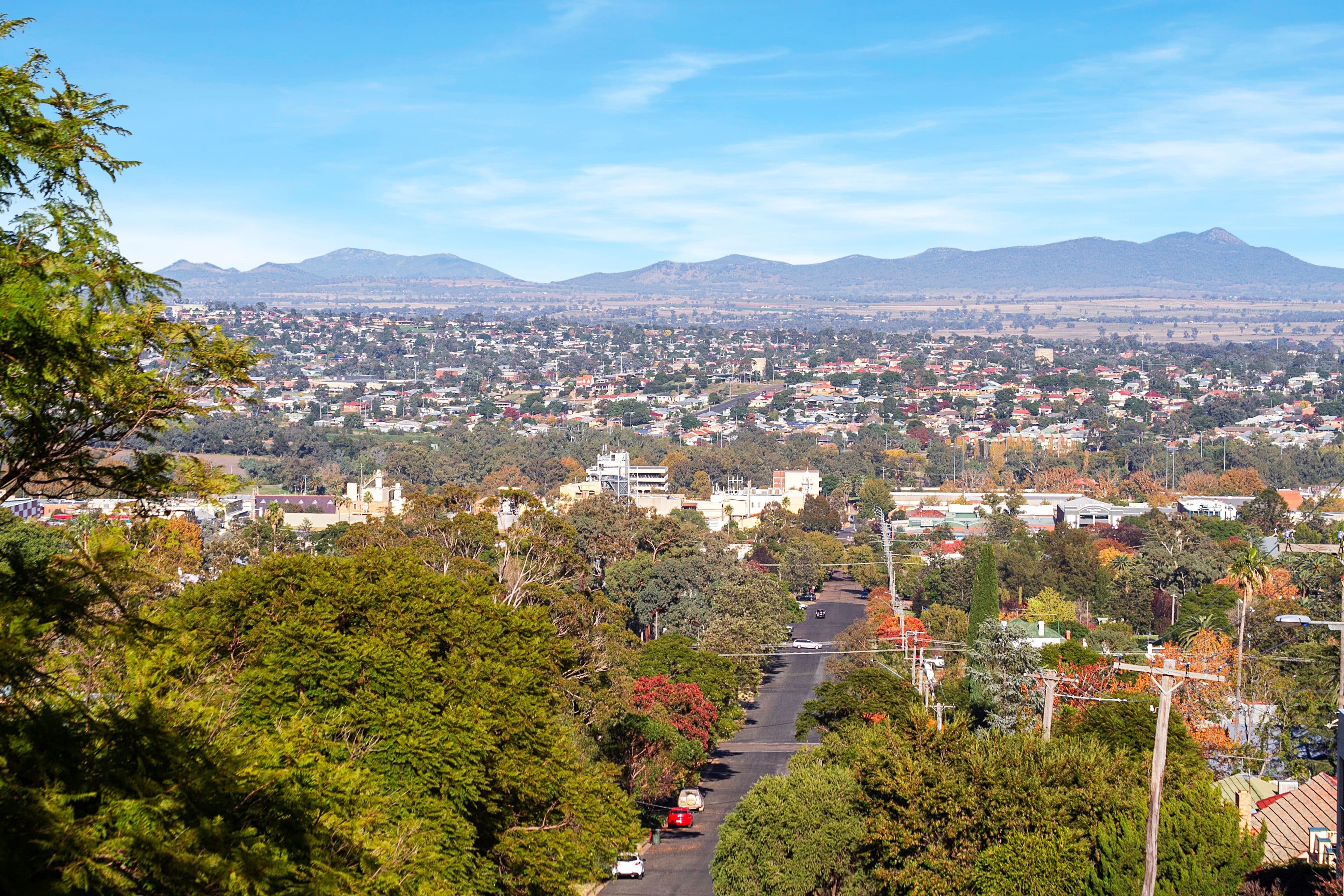 146 Fitzroy Street, Tamworth NSW 2340, East Tamworth - Thumbnail 6