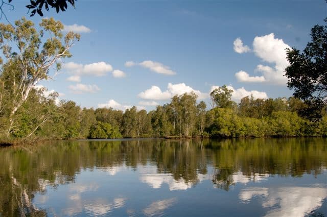 32 Melcar Court, Diddillibah QLD 4559, Diddillibah - Thumbnail 4