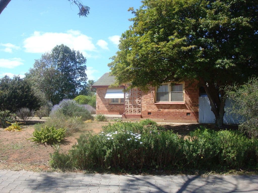 8 Campbell Road, Elizabeth Downs SA 5113, Elizabeth Downs - Thumbnail 5