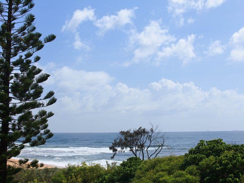 16A Victoria Terrace, Shelly Beach QLD 4551, Shelly Beach - Thumbnail 7