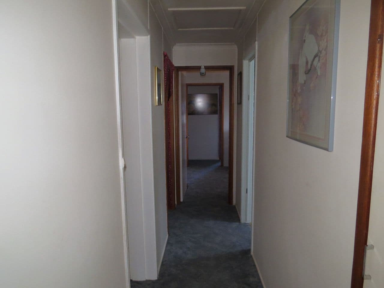 167 Cowra Street, Koorawatha - Thumbnail 8