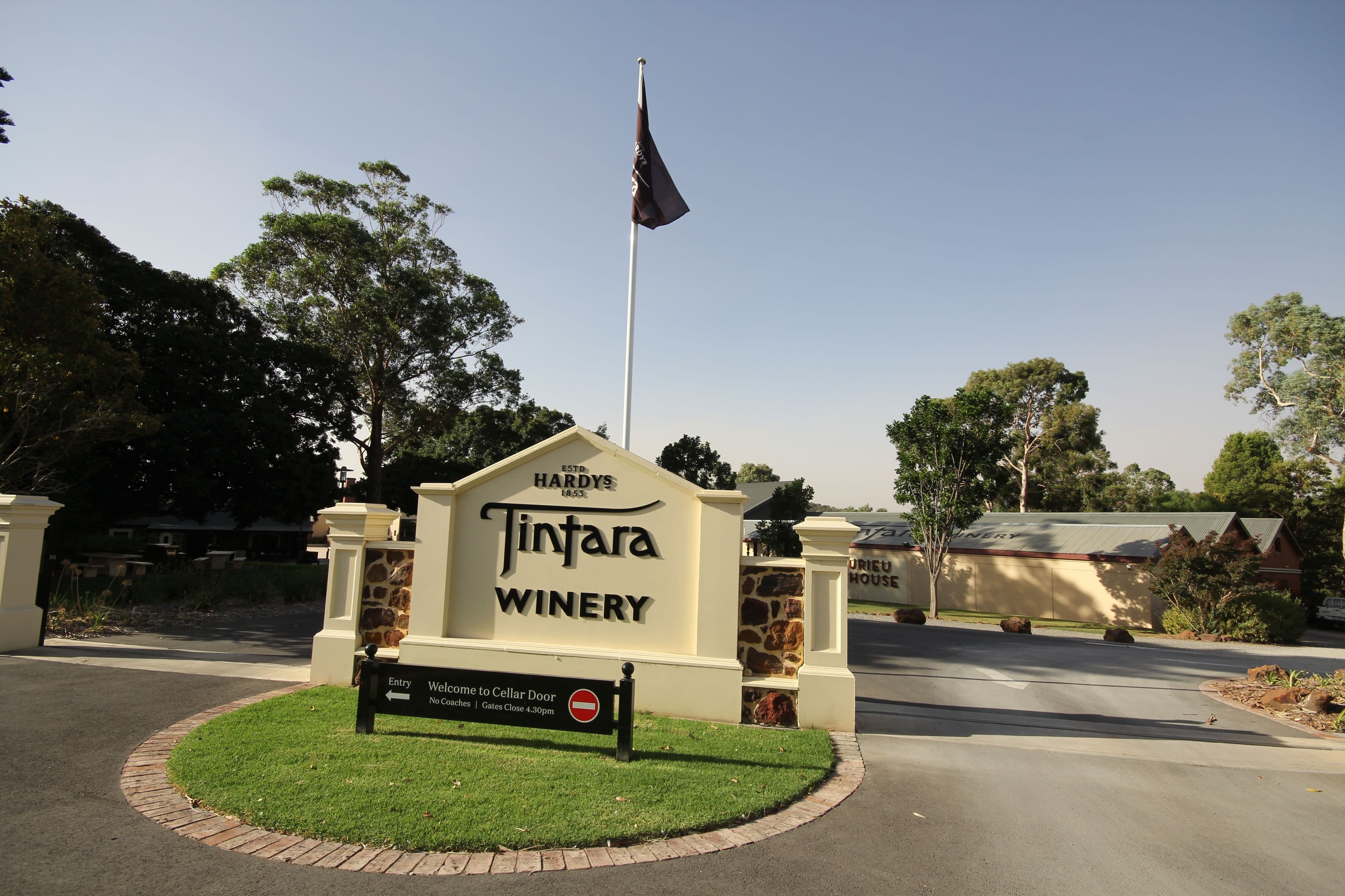14 Palomino Avenue, McLaren Vale SA 5171, McLaren Vale - Thumbnail 3