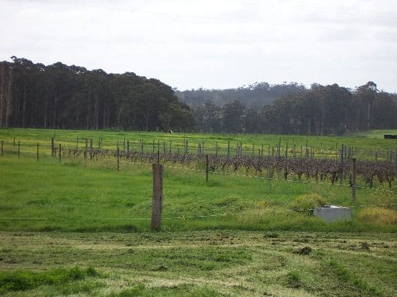 6 Invermay Grove, Rosanna, Rosanna - Thumbnail 4