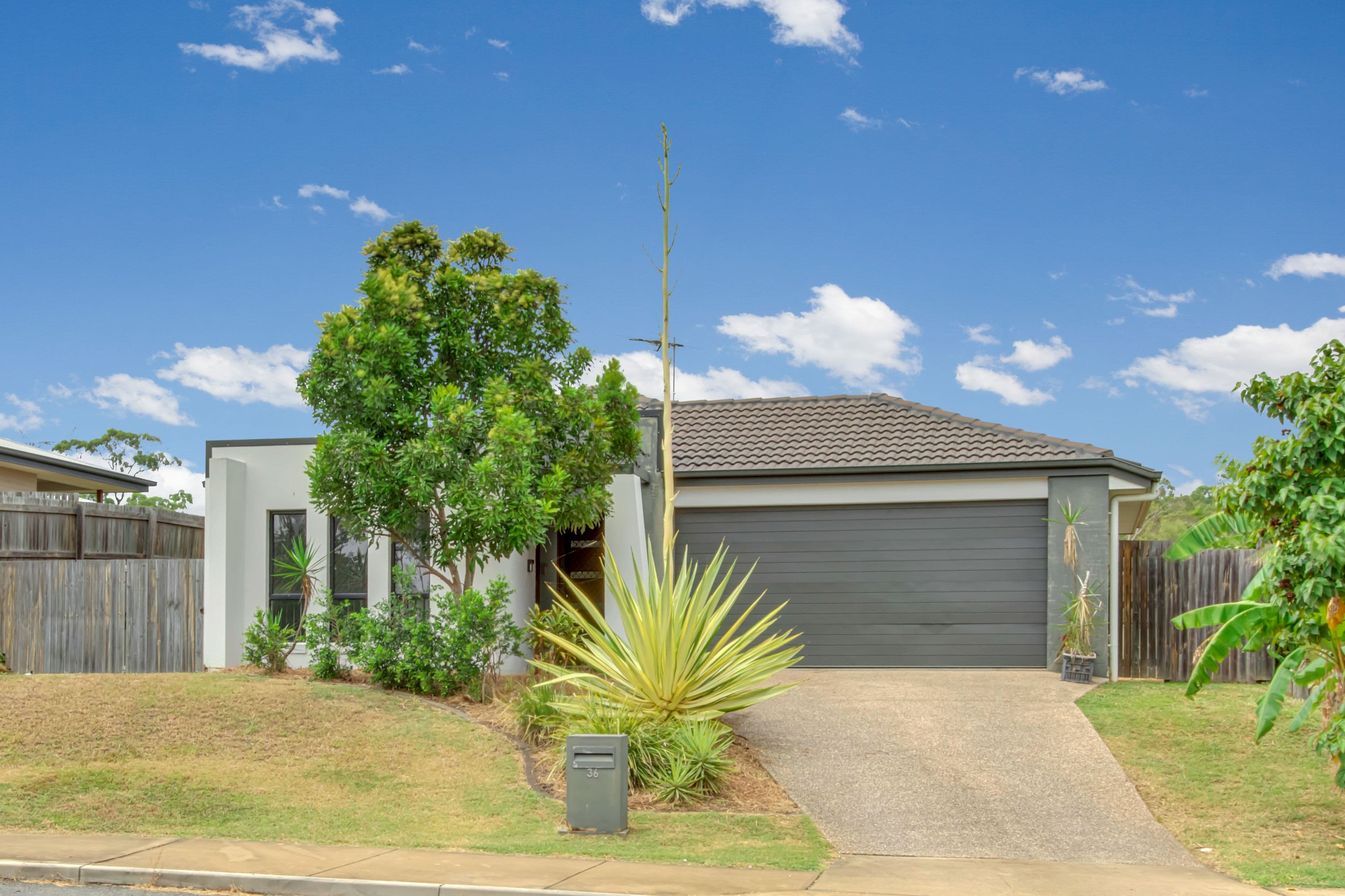 36 Seagull Boulevard, Kirkwood QLD 4680, Kirkwood - Thumbnail 2