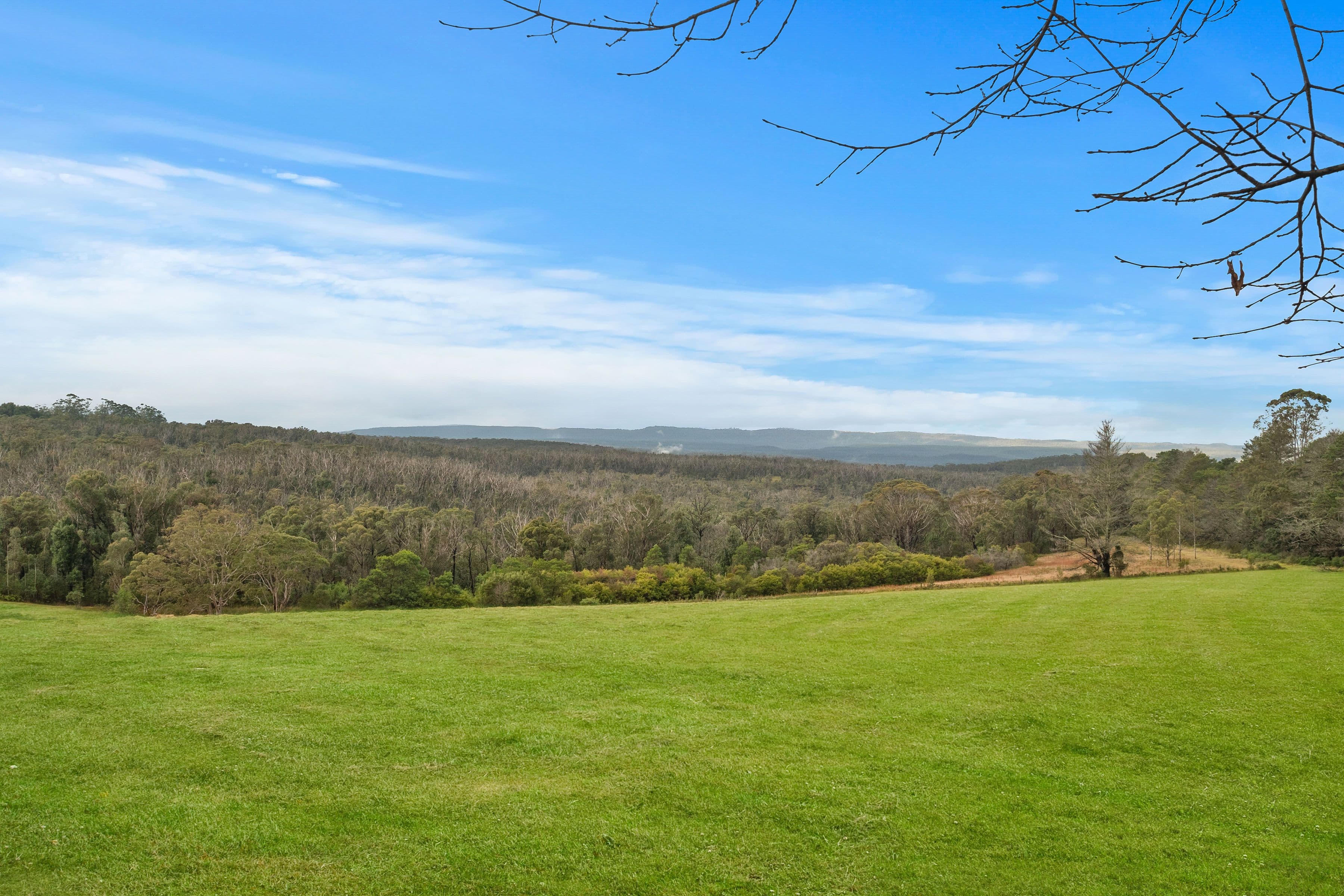 99 Powells Road, Bilpin NSW 2758, Bilpin - Thumbnail 4