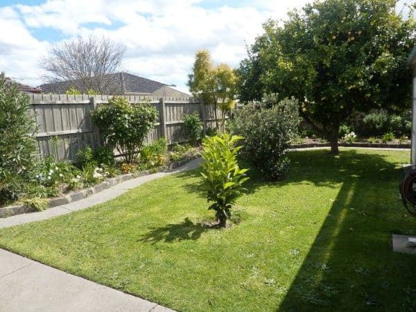 7 Brookland Court, MULGRAVE VIC 3170, Mulgrave - Thumbnail 3