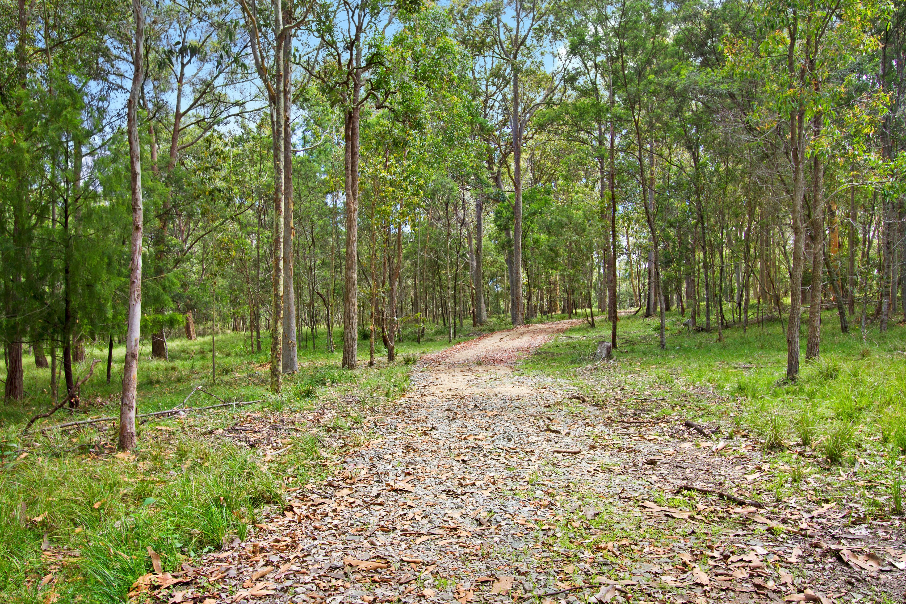 208 Congo Road, Congo NSW 2537, Congo - Image 1