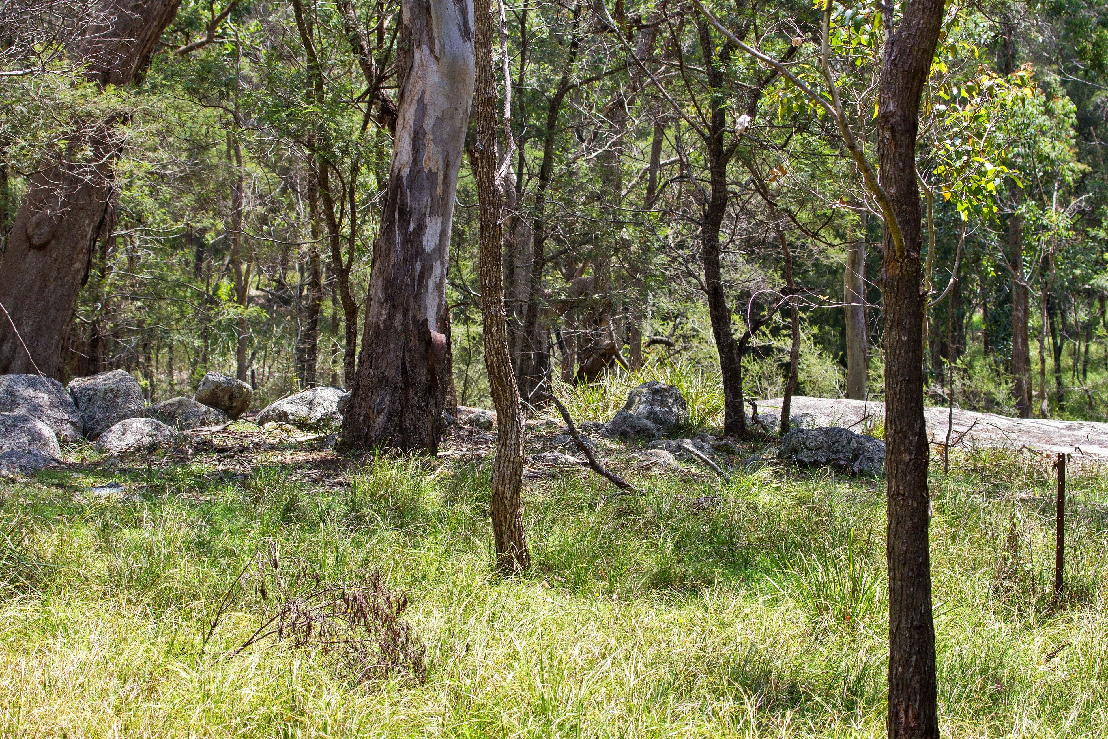 208 Congo Road, Congo NSW 2537, Congo - Thumbnail 2