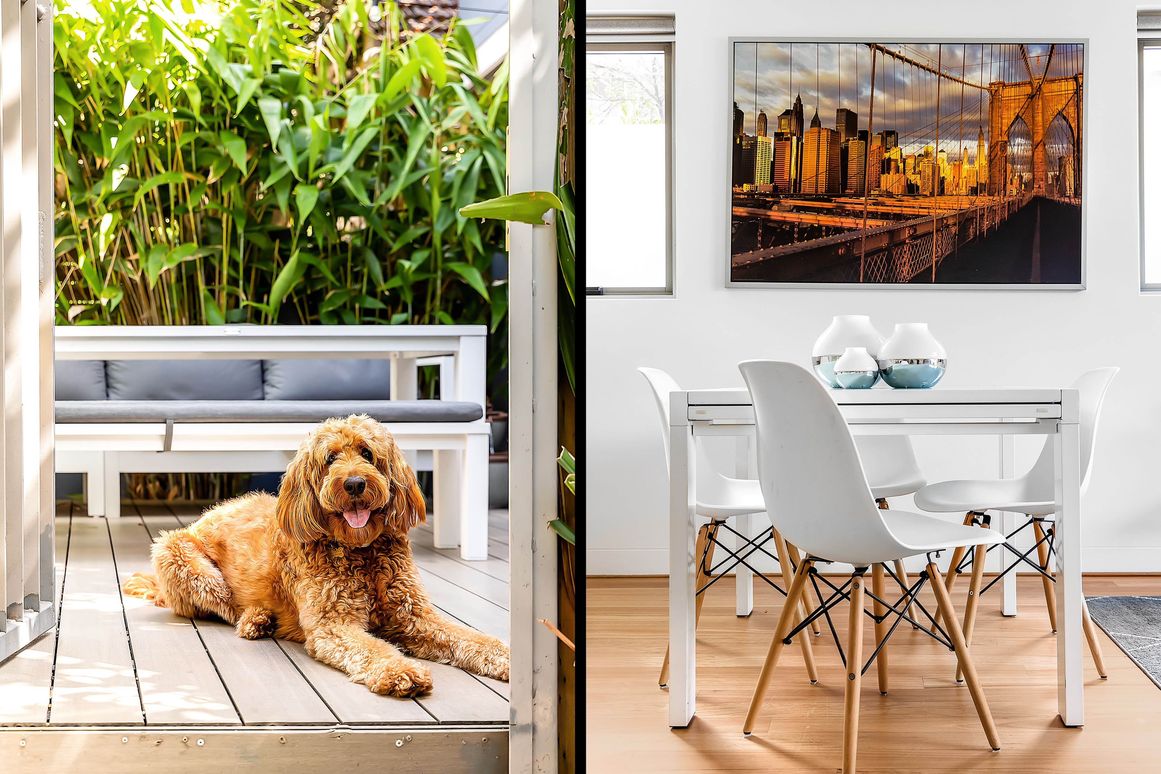 176 Ben Boyd Road, Neutral Bay NSW 2089, Neutral Bay - Thumbnail 7