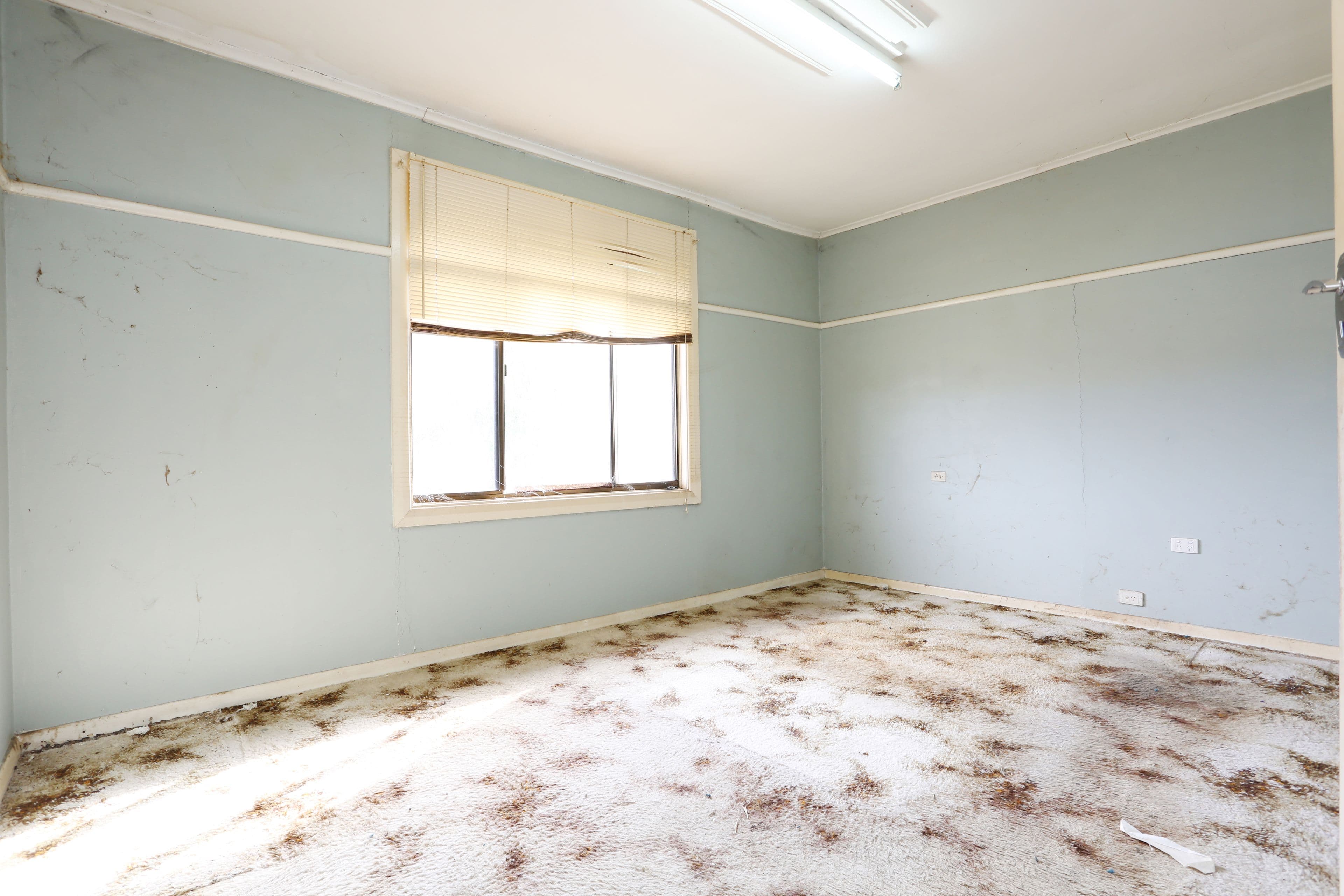 2 Scott Street, Clare SA 5453, Clare - Thumbnail 7
