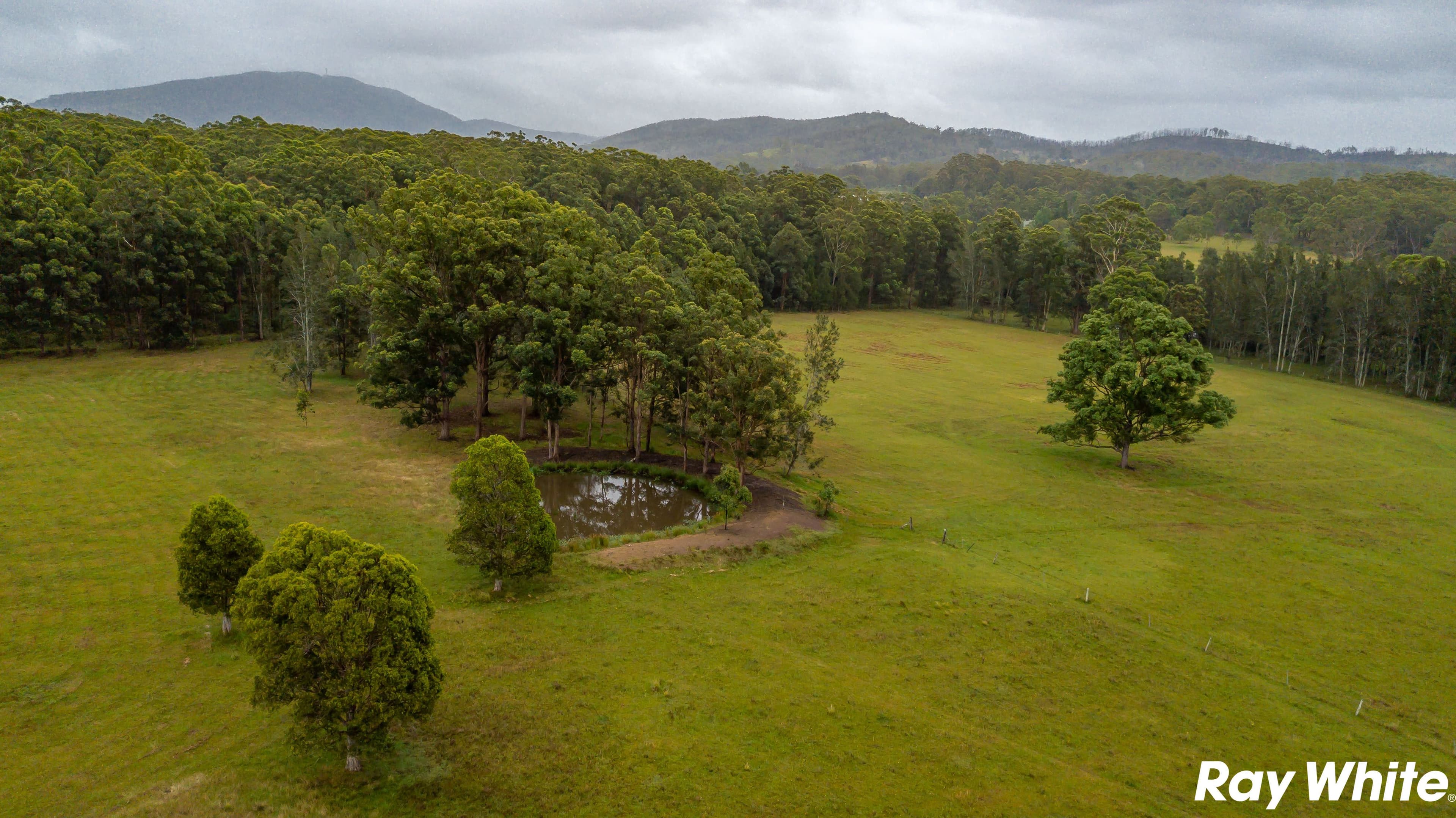 453 Failford Road, Failford NSW 2430, Failford - Thumbnail 2