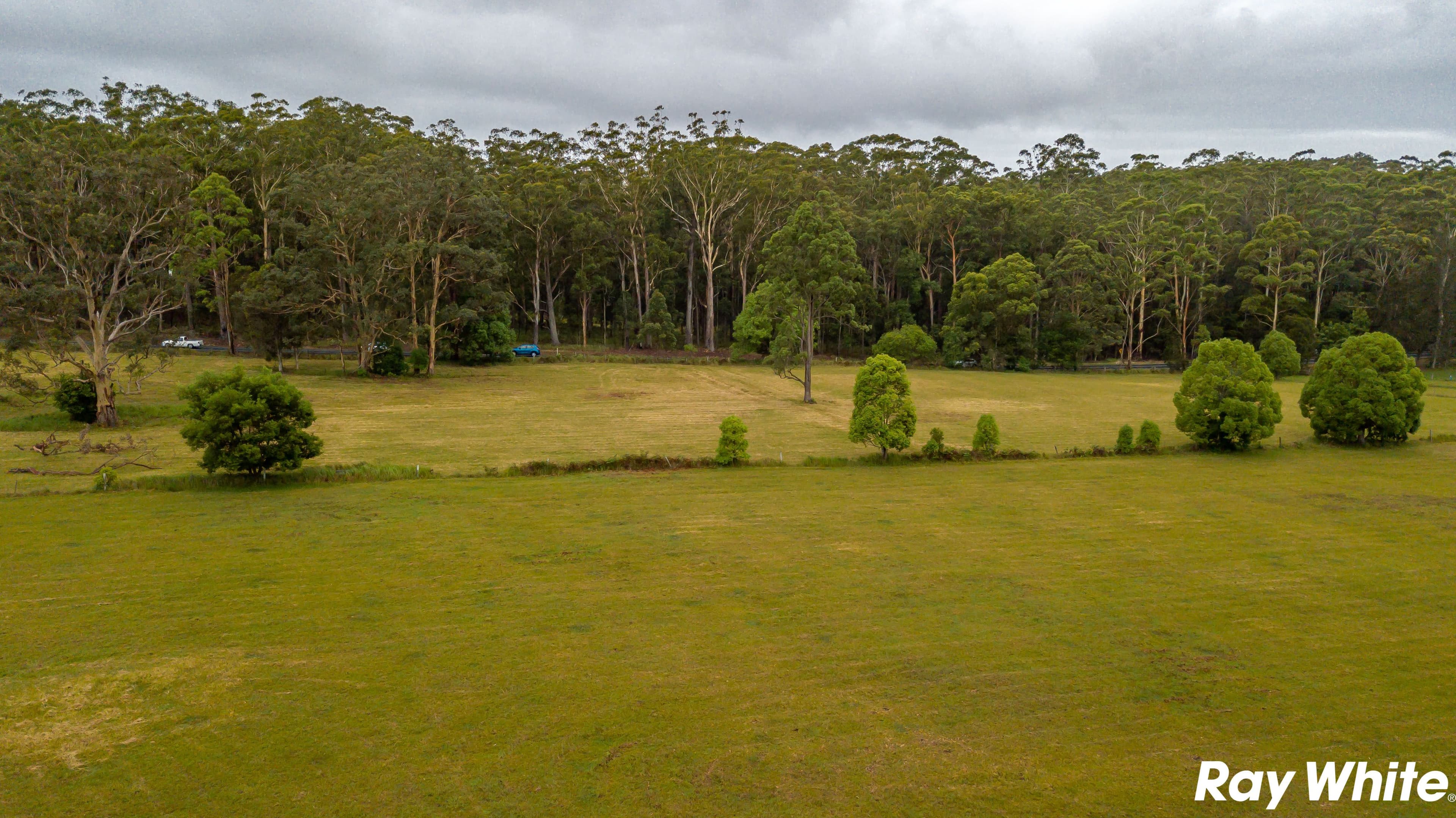 453 Failford Road, Failford NSW 2430, Failford - Thumbnail 6