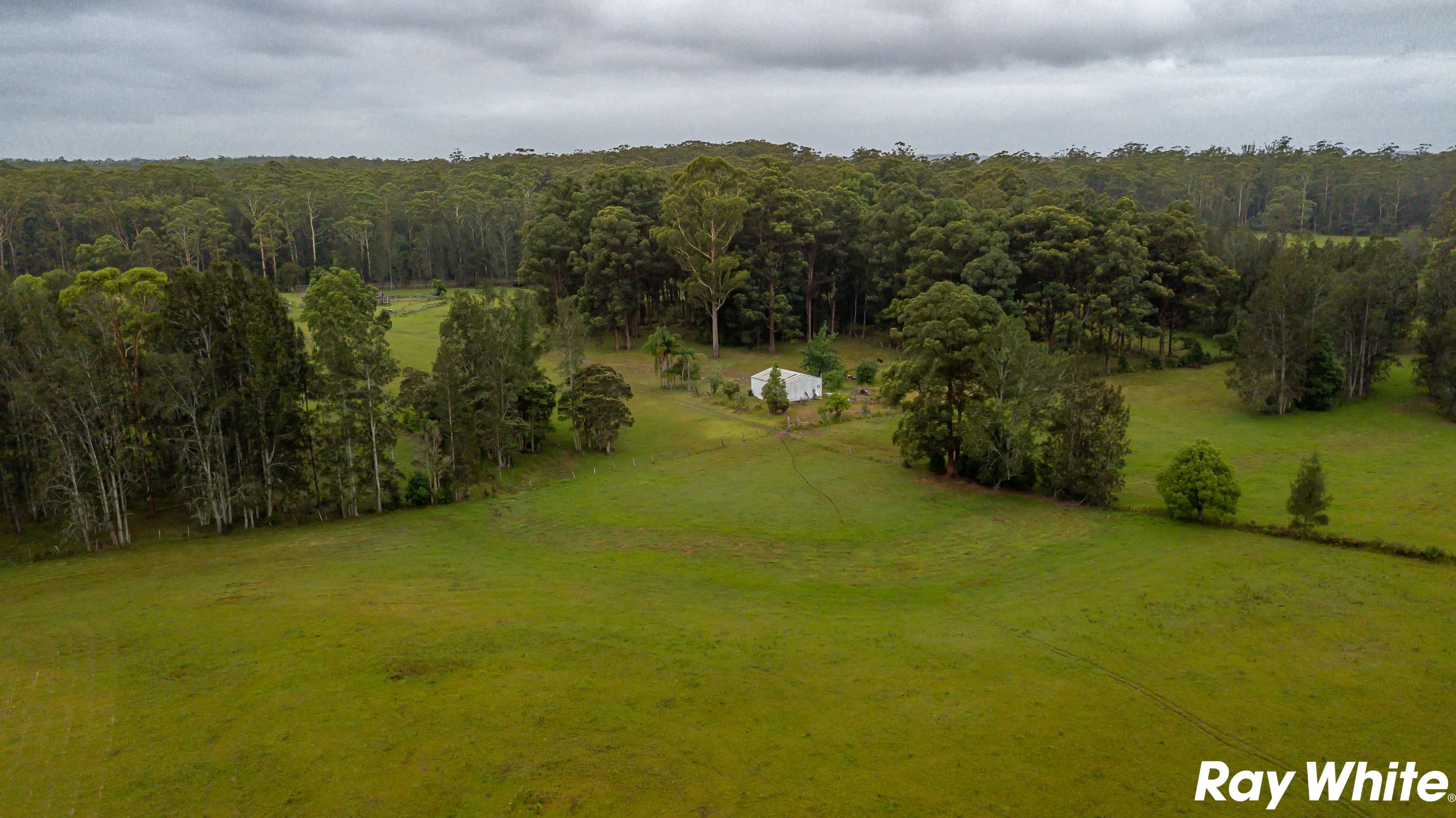 453 Failford Road, Failford NSW 2430, Failford - Thumbnail 8