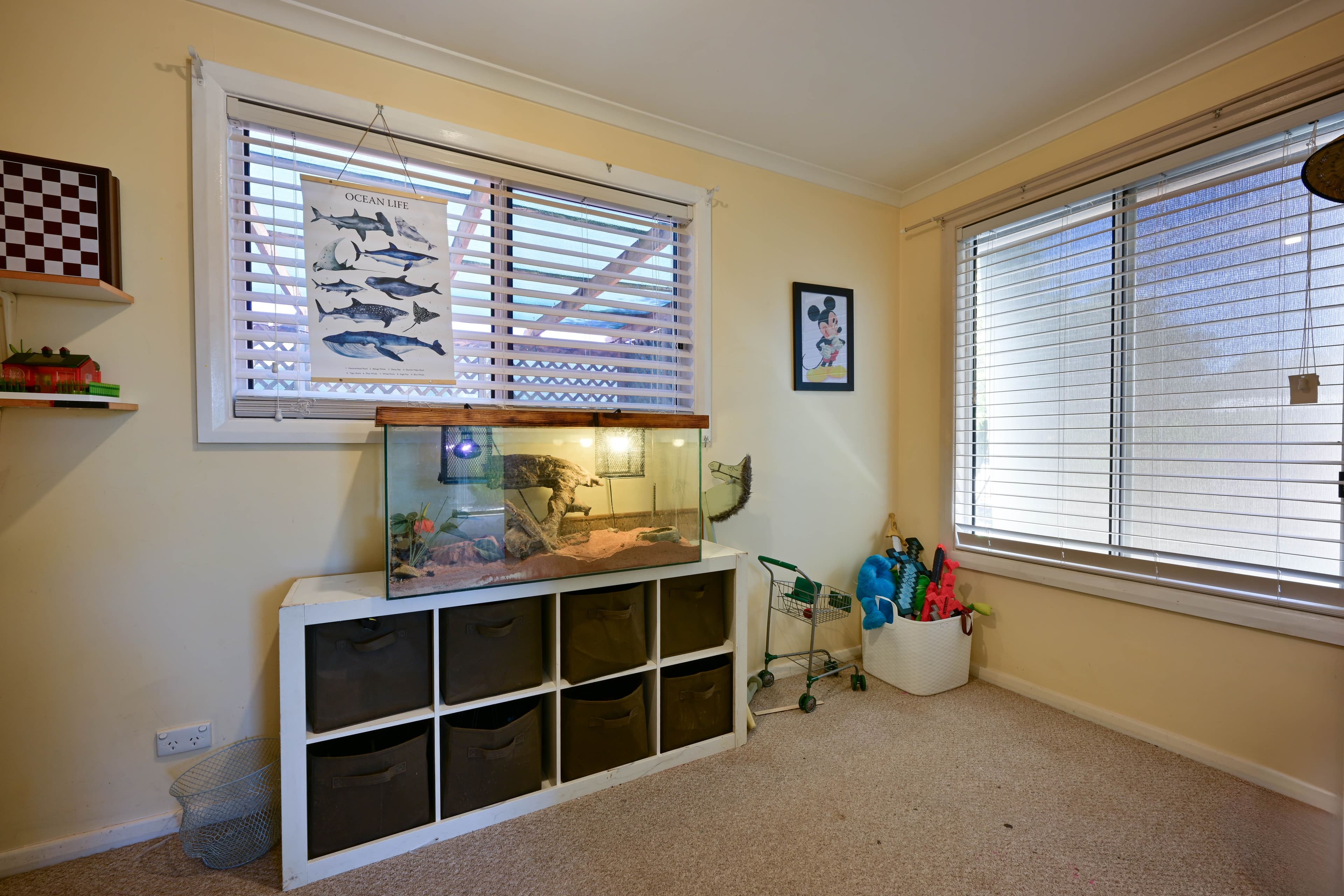 36 Williams Street, Quorn SA 5433, Quorn - Thumbnail 4