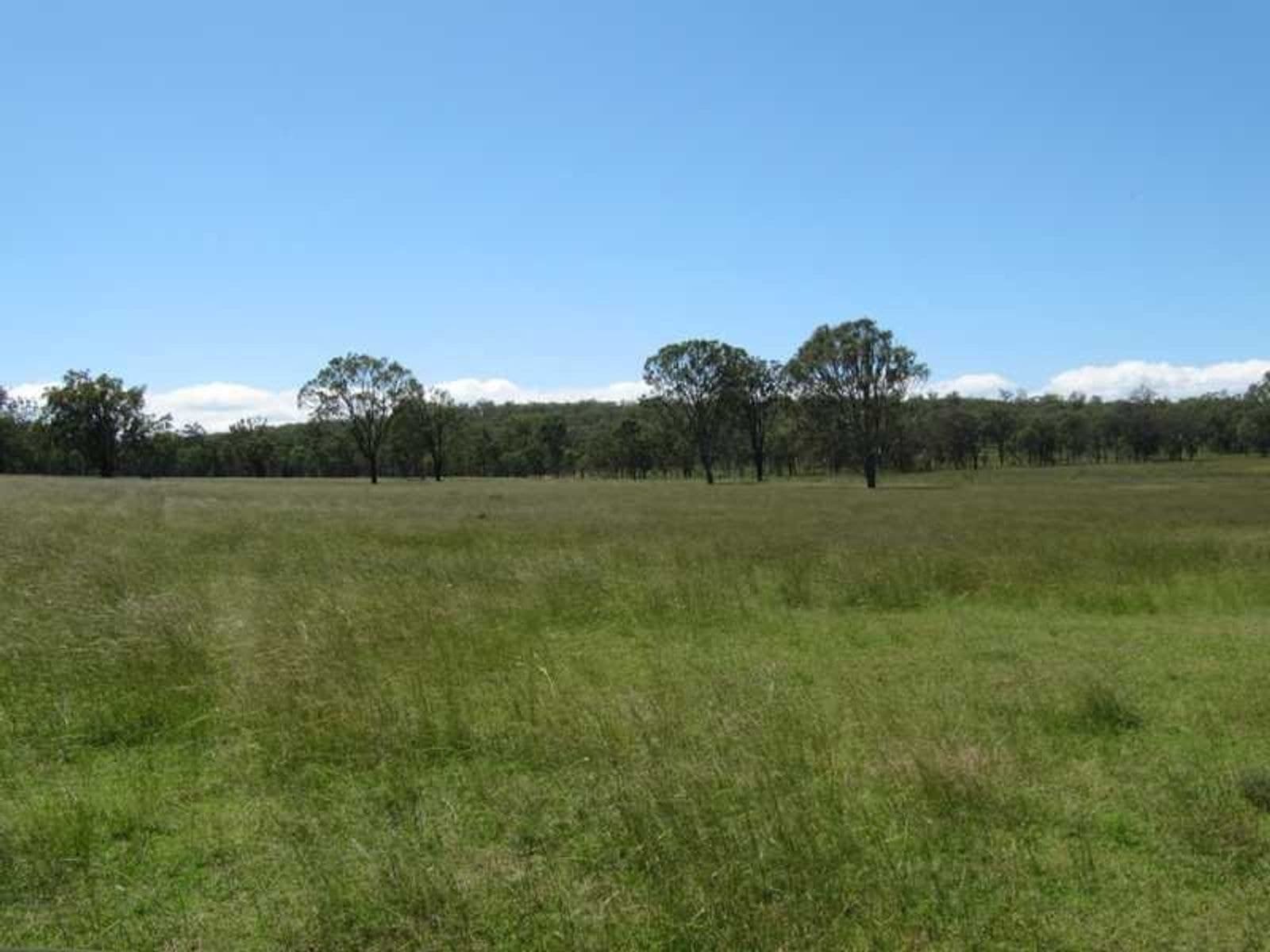 Mountain Road Massie QLD 4370, Mountain Road Massie - Thumbnail 4