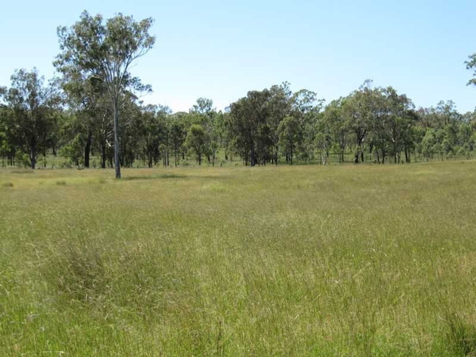 Mountain Road Massie QLD 4370, Mountain Road Massie - Thumbnail 6