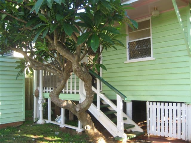 5 Park Street, ROCKVILLE QLD 4350, Rockville - Thumbnail 6