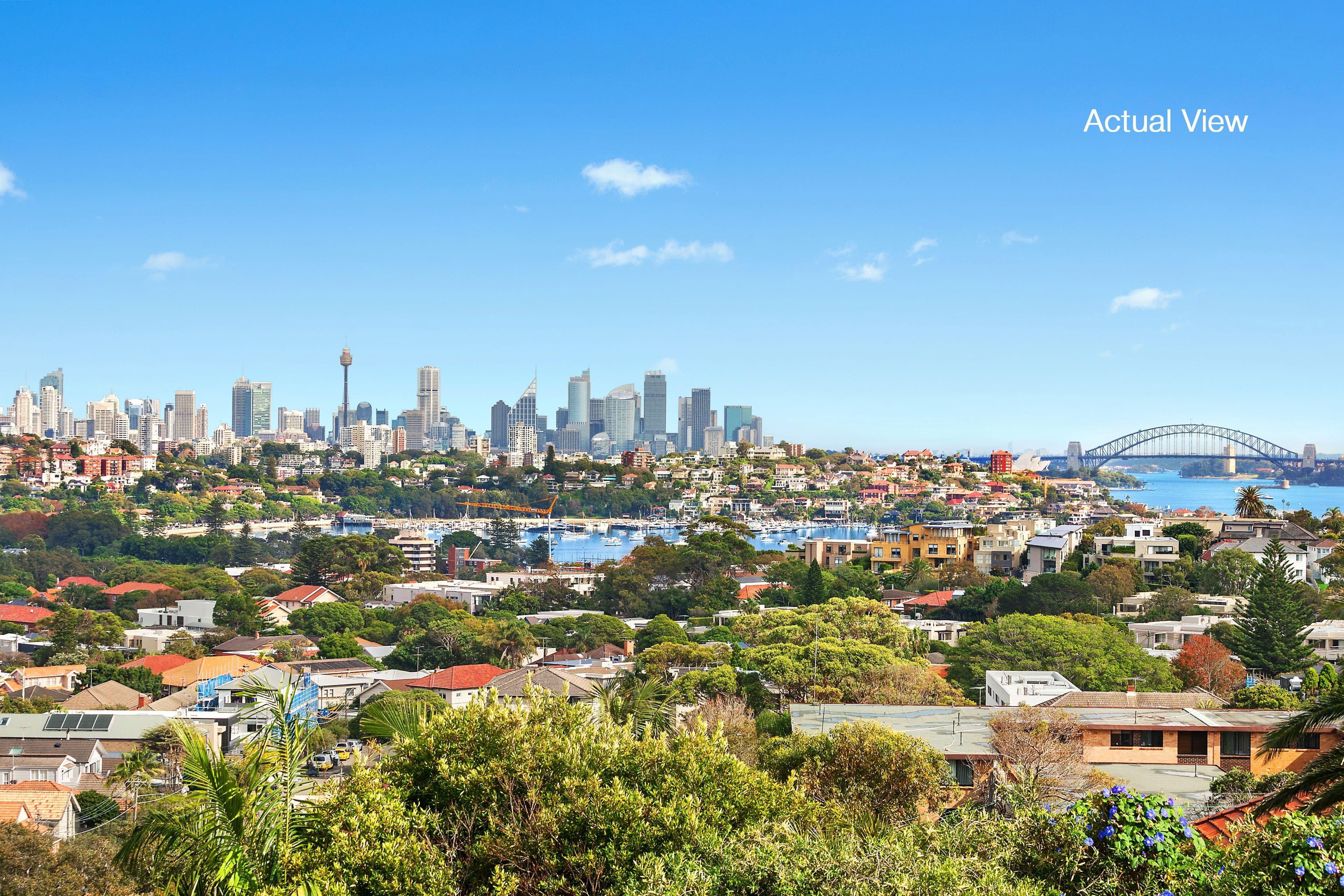 45 Portland Street, Dover Heights - Image 1