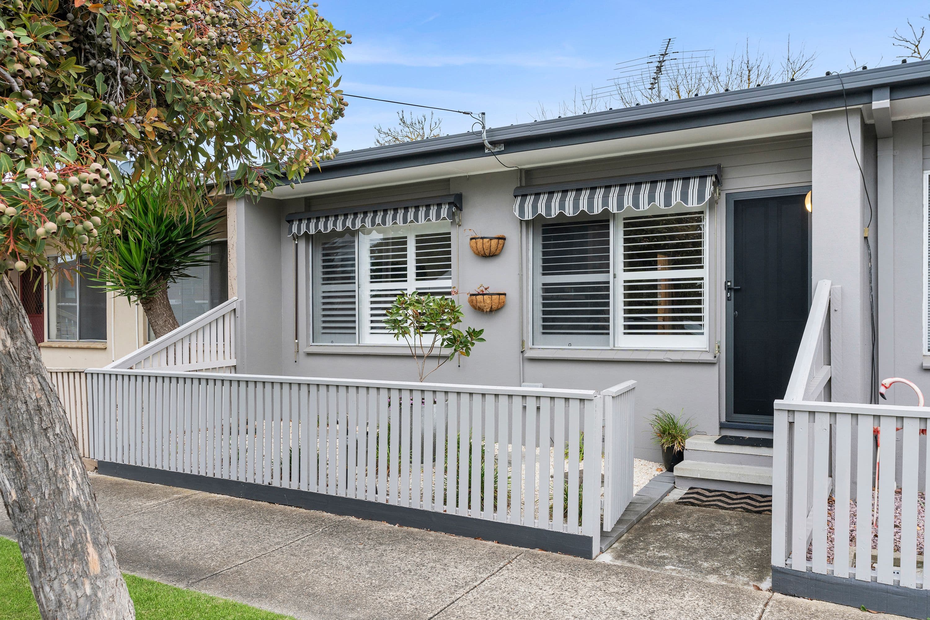26 Fraser Street, Herne Hill VIC 3218, Herne Hill - Thumbnail 6