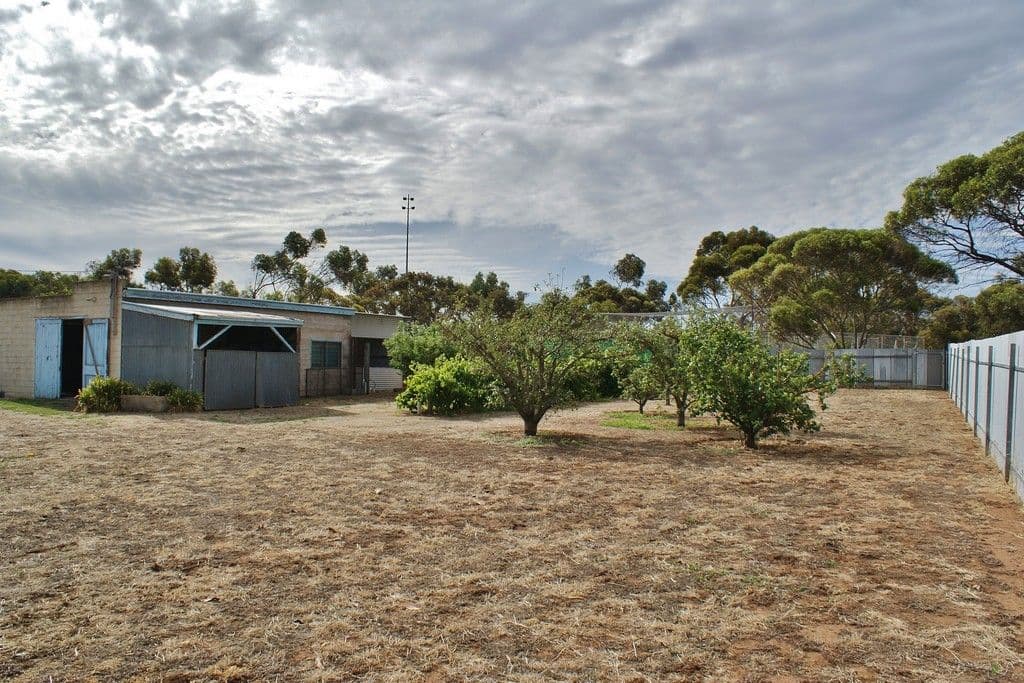 17 Hawke Road, Murray Bridge SA 5253, Murray Bridge - Thumbnail 7